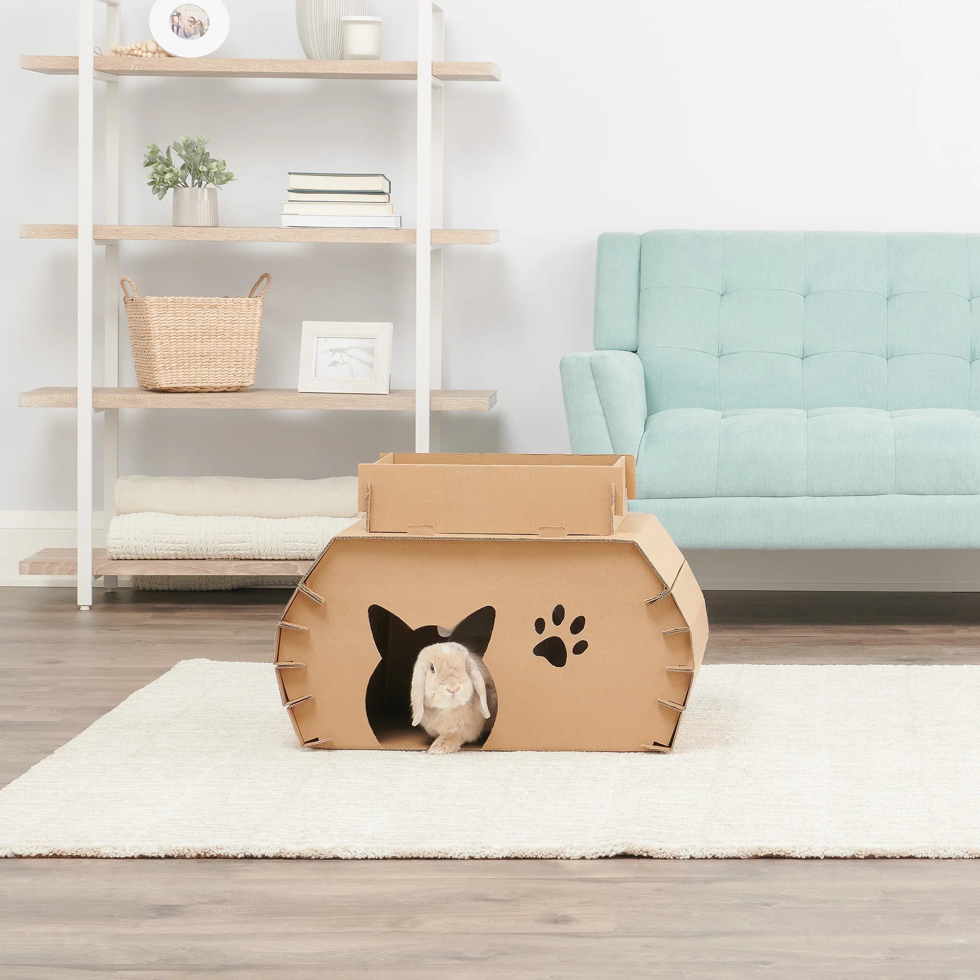 Light tan colored rabbit sitting inside the Cat Camper and Scratcher.