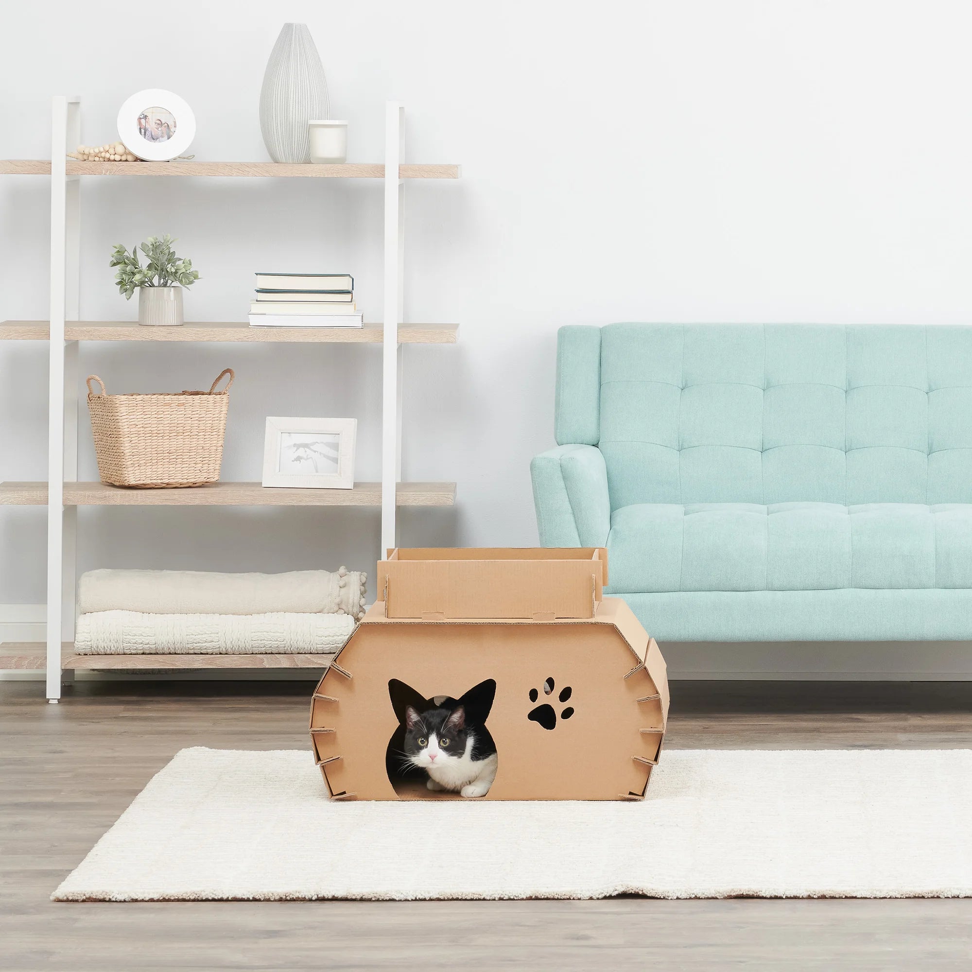 Black and white cat inside Cat Camper and Scratcher in a living room.