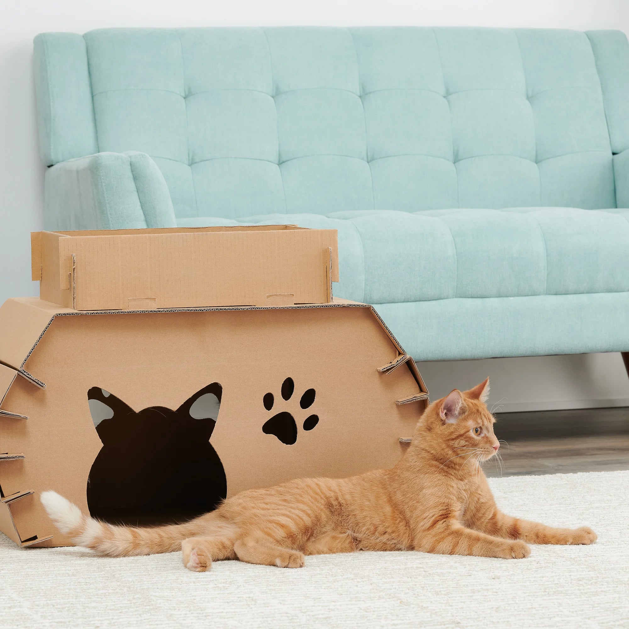 Orange cat sitting in front of the Cat Camper and Scratcher while sitting on a white rug in a living room.