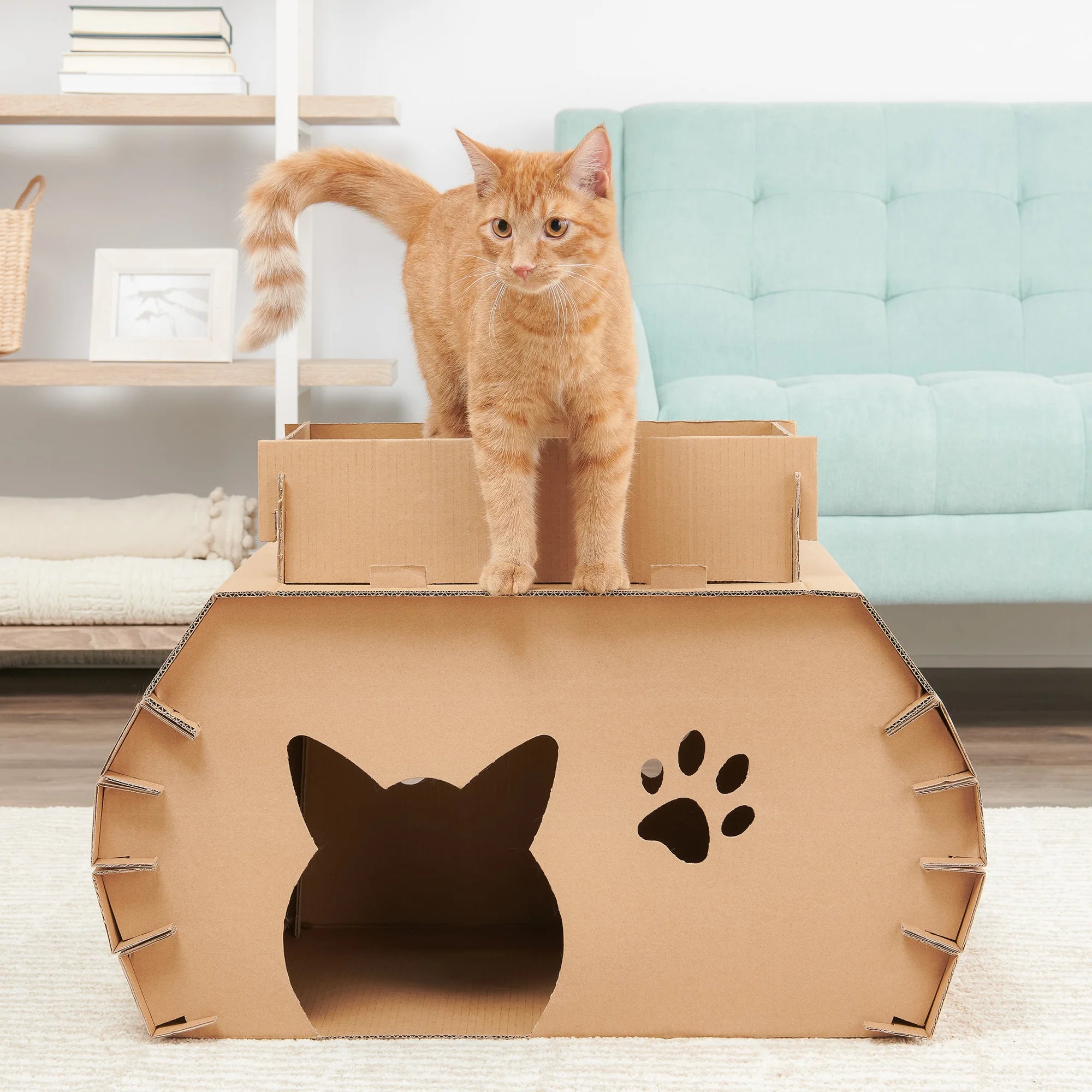 Orange cat in living room on the Cat Camper and Scratcher on a white rug.