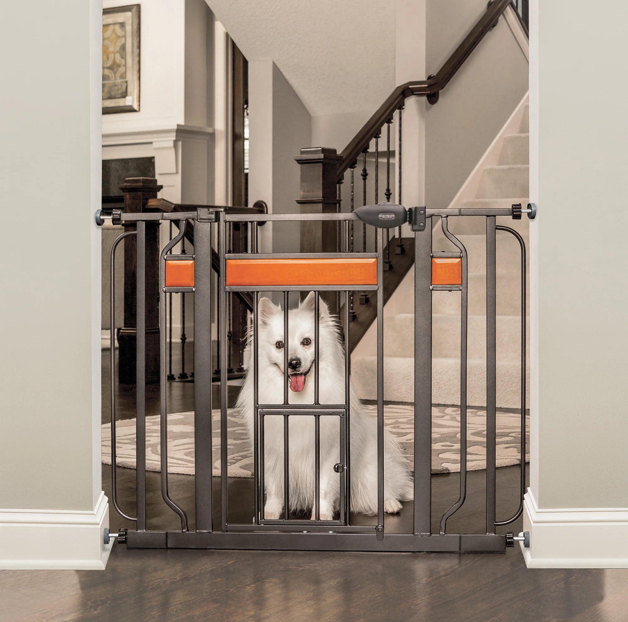 Dog in living room sitting behind the Design Paw Extra Wide Walk-Thru Pet Gate.