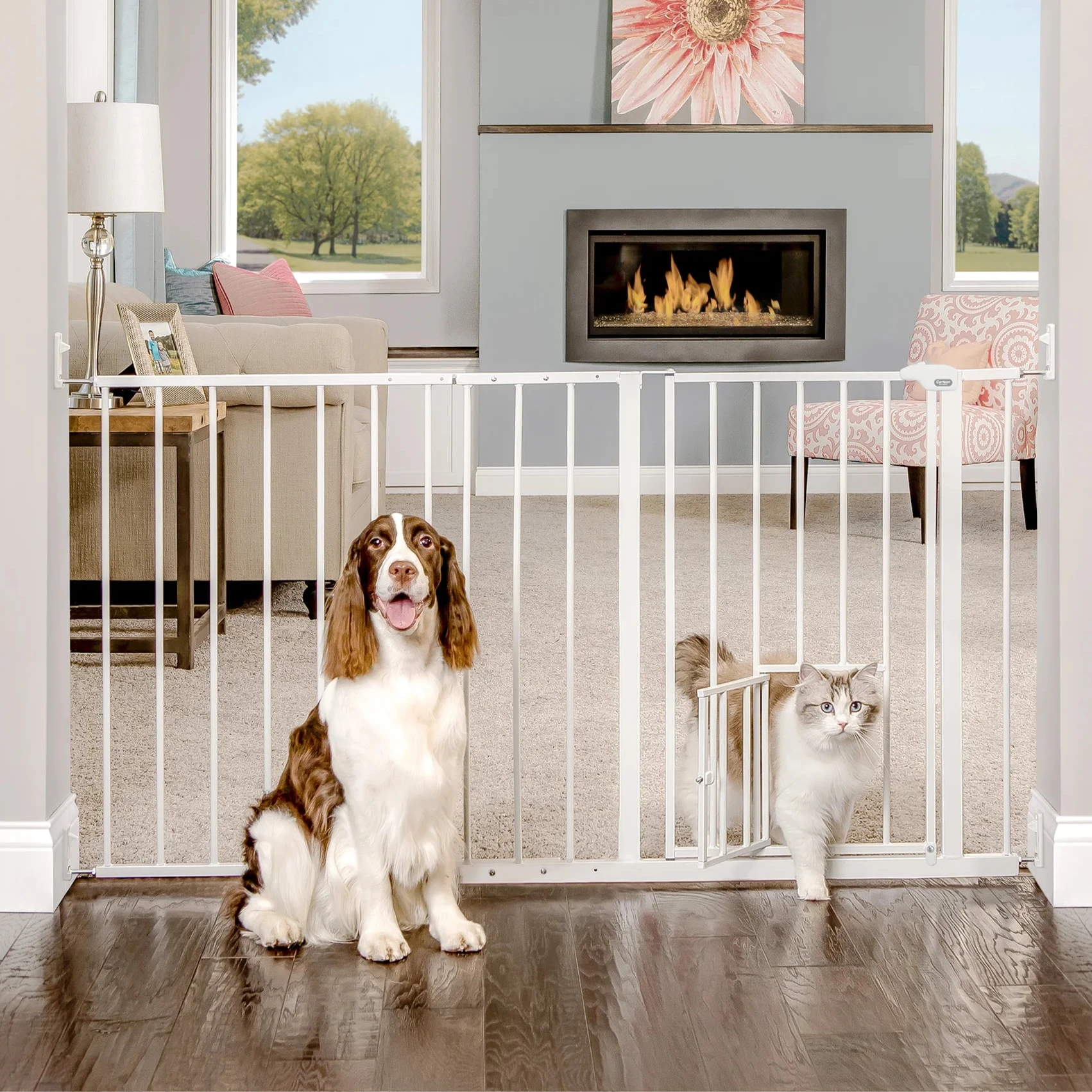 Dog gate for hallway hotsell
