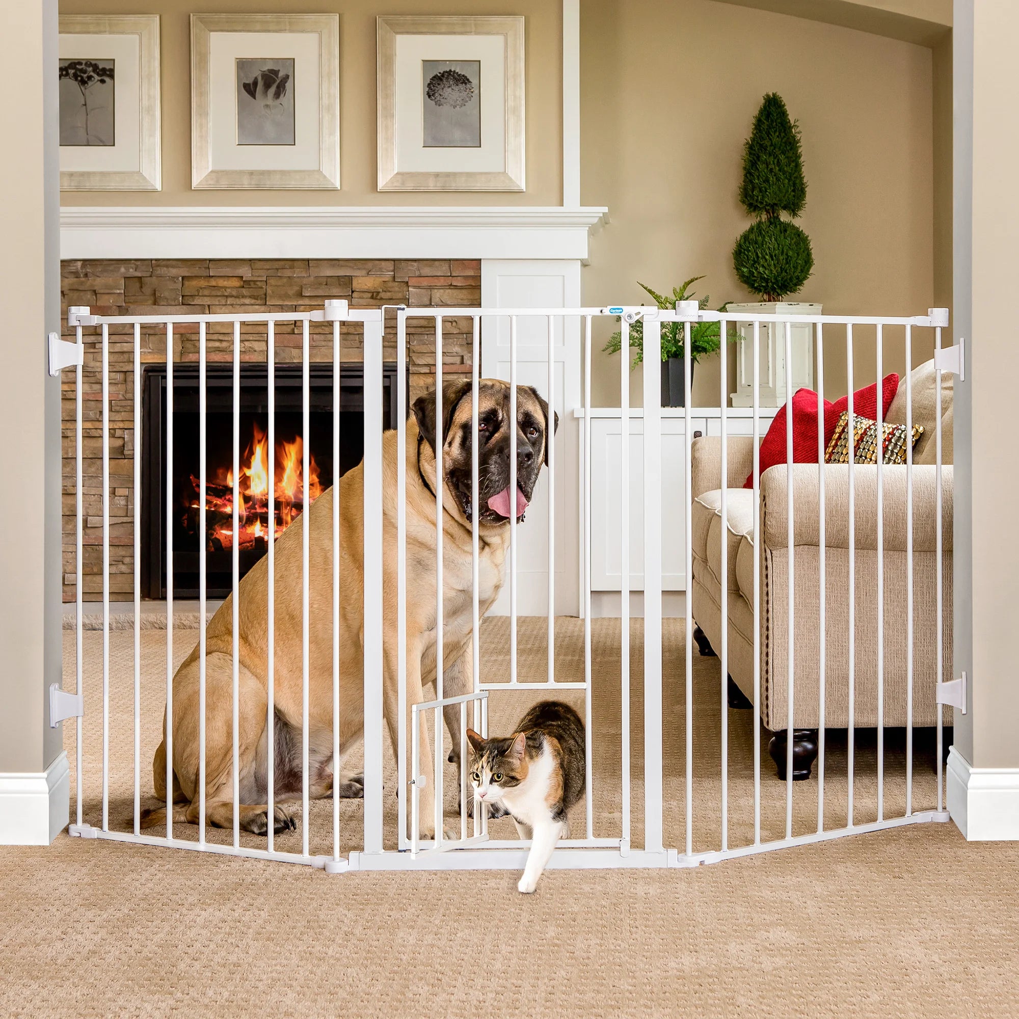 Dog sitting in living room behind Flexi Extra Tall Walk-Thru Pet Gate with cat walking through Small Pet Door.
