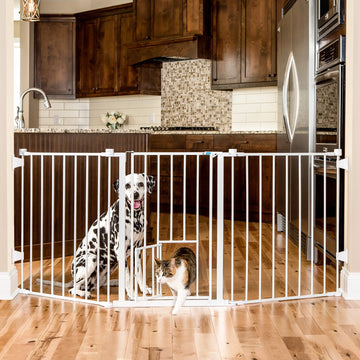 Dog sitting in kitchen next to Flexi Walk-Thru Pet Gate with cat walking through Small Pet Door.