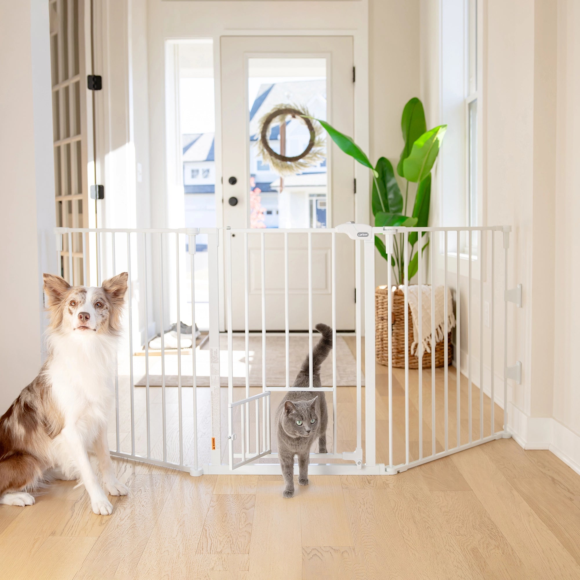 Pet baby gate walk through shop