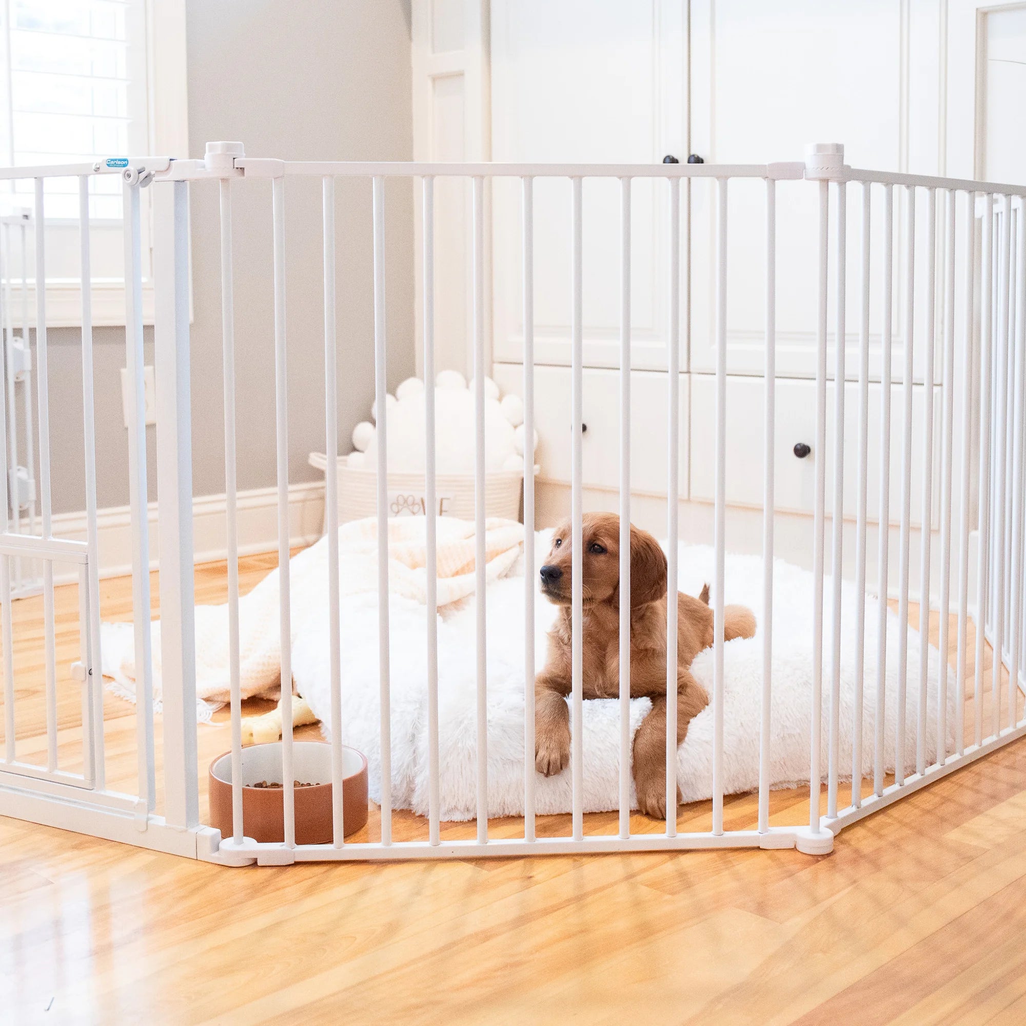 Dog laying in living room on soft bed while in the 2-in-1 Super Wide Pet Pen & Gate.