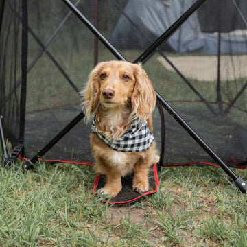 The Carlson Red Portable Pet Pen is a lightweight, foldable pet containment solution, featuring a sturdy all-metal frame and reinforced mesh walls. Measuring 48” x 26”, it includes a zippered pet door, is water-resistant for indoor and outdoor use, and sets up and folds down in seconds for convenience.