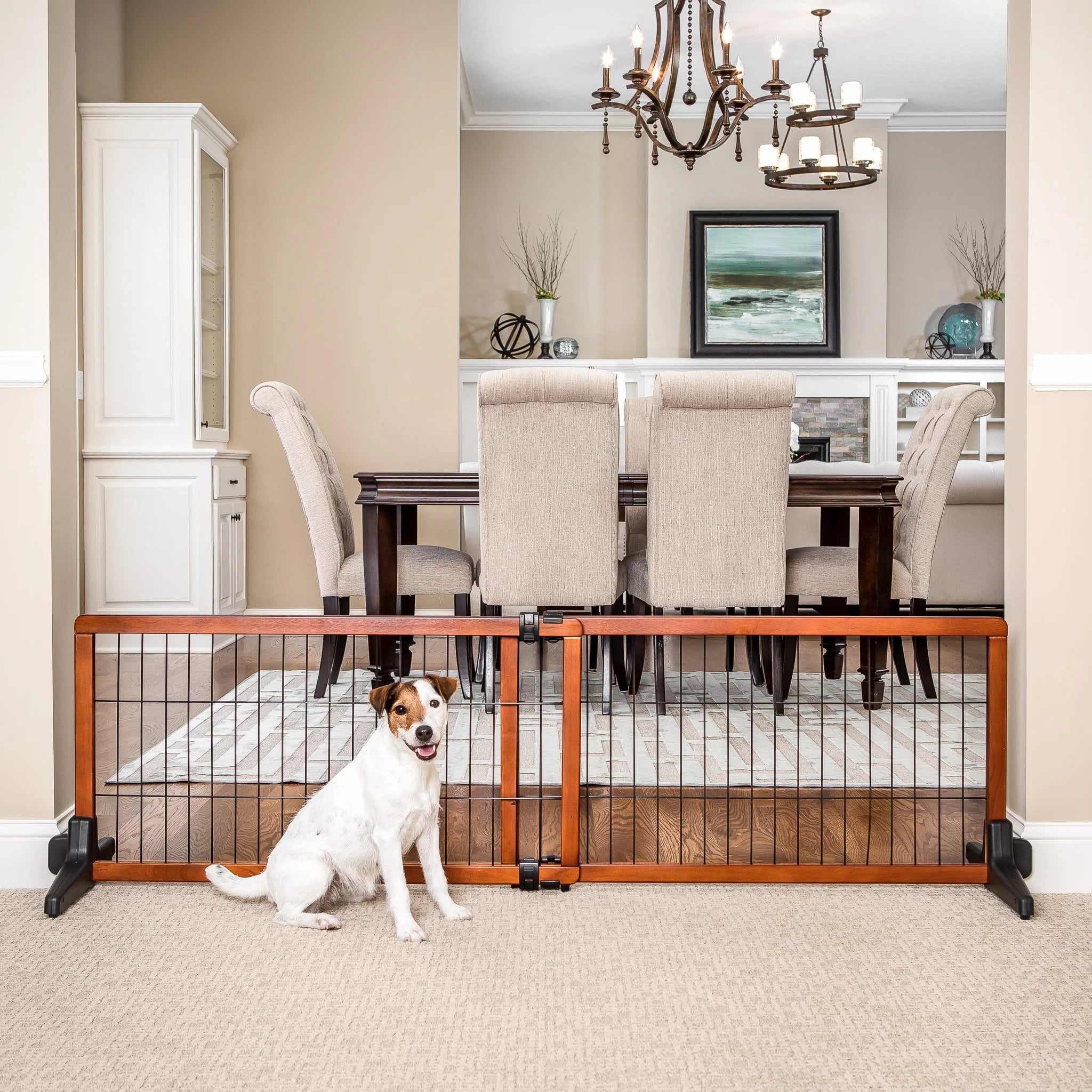 Dog standing in front of Design Paw Extra Wide Freestanding Pet Gate in dining room.