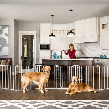 Two dogs in a home with a kitchen in the background