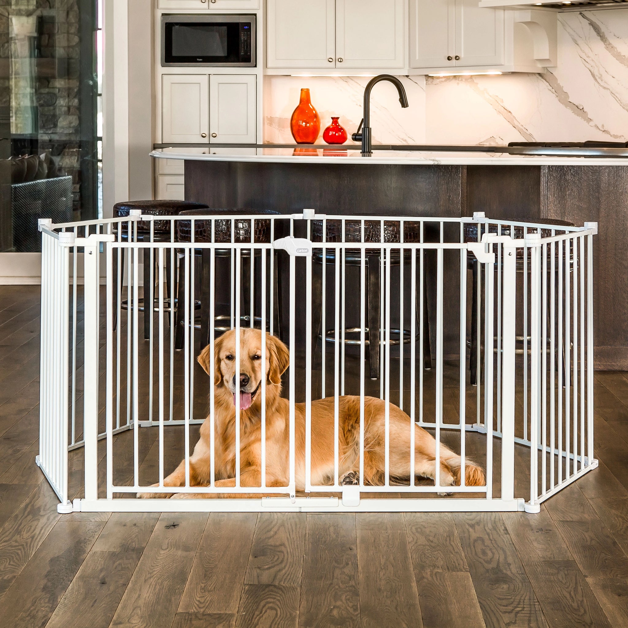Dog inside a white pet gate in a kitchen
