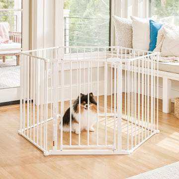 The Carlson Convertible Pet Yard is a versatile, chew-proof pet enclosure with all-steel construction. It features adjustable hinged posts, expanding from 52” to 146.5” wide. Standing 28” tall, it includes a walk-through door with a slide handle, offering a flexible and secure space for pets at home.