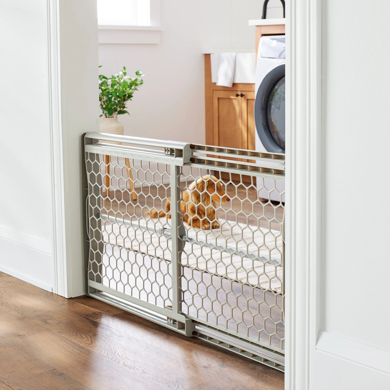 Gray plastic expandable pet gate with pressure-mount installation, fits openings 28-42 inches, 23 inches tall, and includes rubber bumpers.
