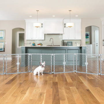 Dog sitting in kitchen in front of 2-in-1 Plastic Gate & Pet Pen.