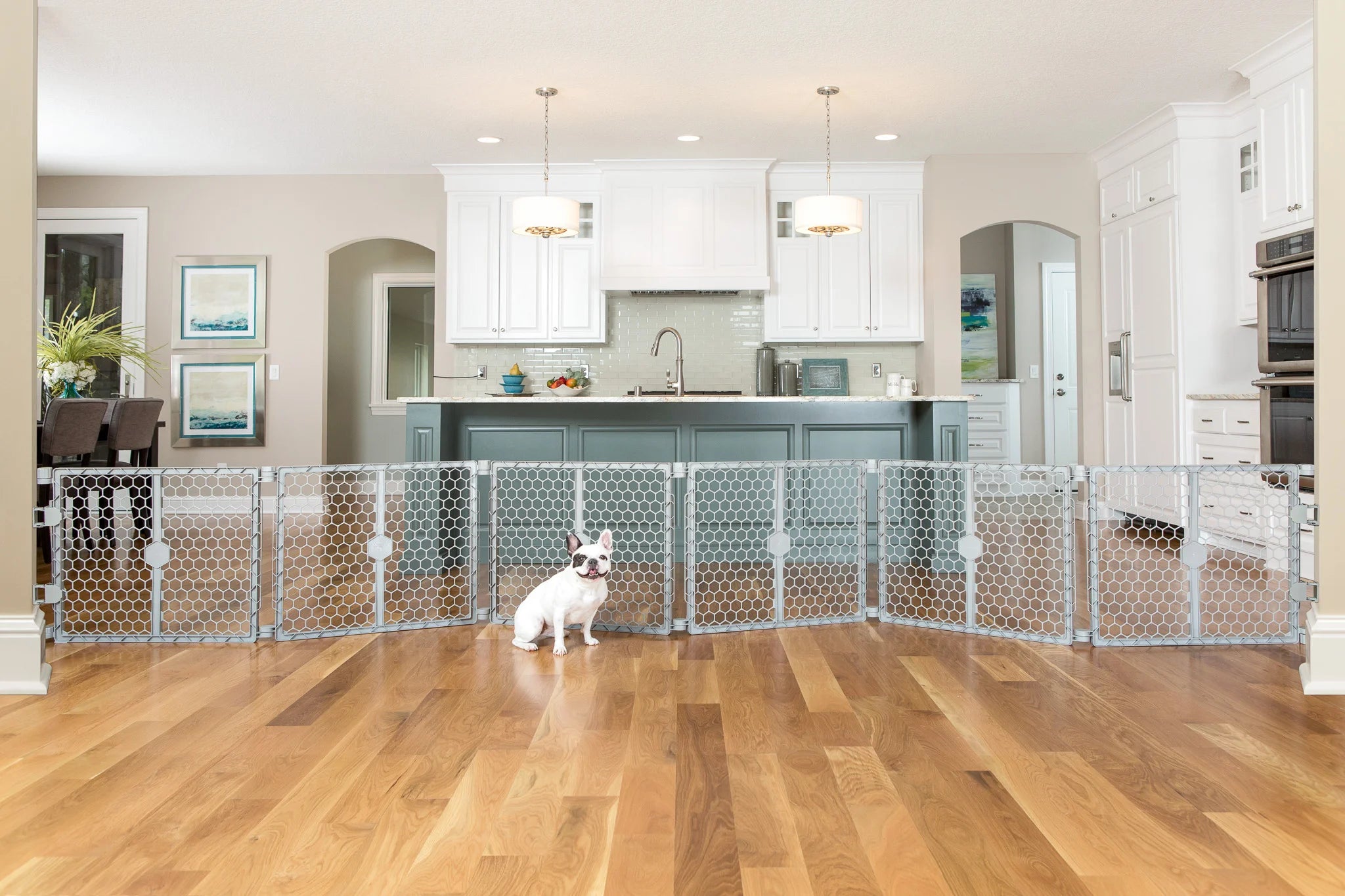 Dog sitting in front of 2-in-1 Plastic Gate & Pet Pen in kitchen.