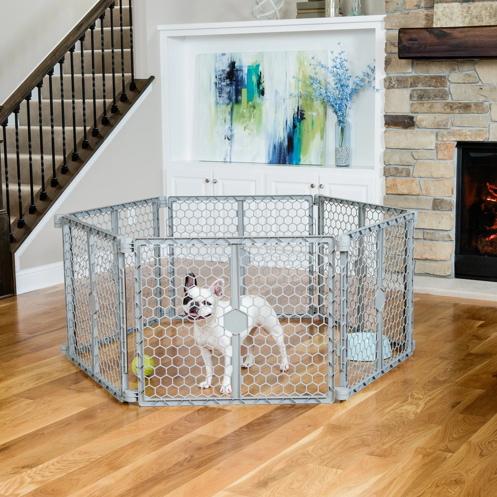 Dog sitting in the 2-in-1 Plastic Gate & Pet Pen in living room.