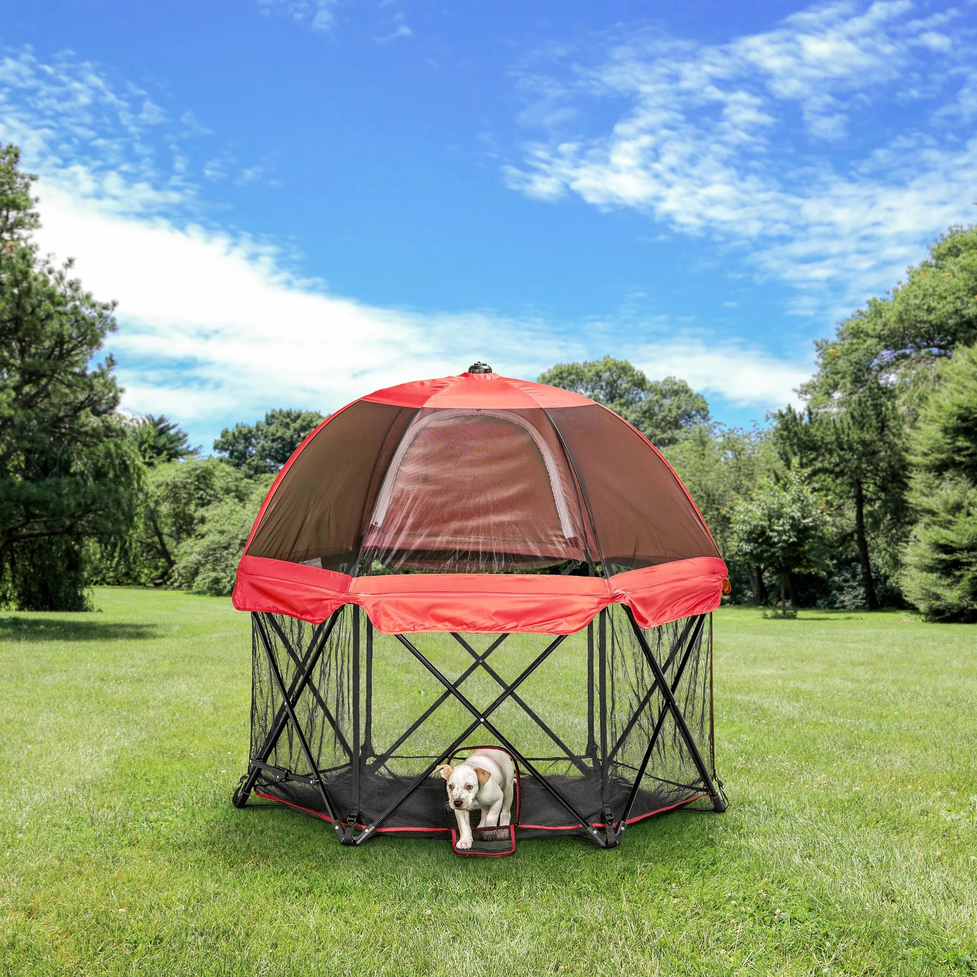 Dog coming out of Portable Pet Pen with Canopy through small pet door.