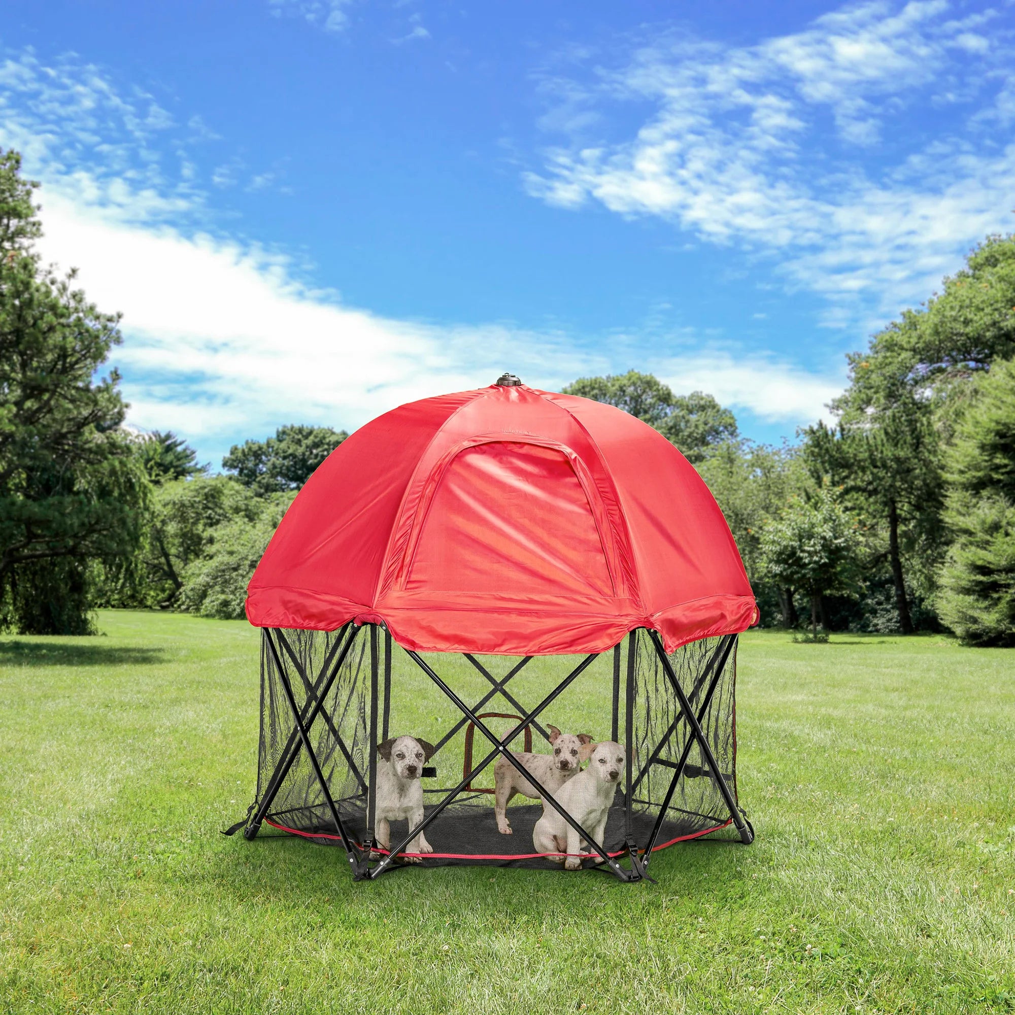 Three dogs inside the Portable Pet Pen with Canopy while in a park.