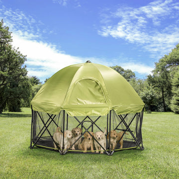 Five puppies in the Portable Pet Pen with Canopy at the park.