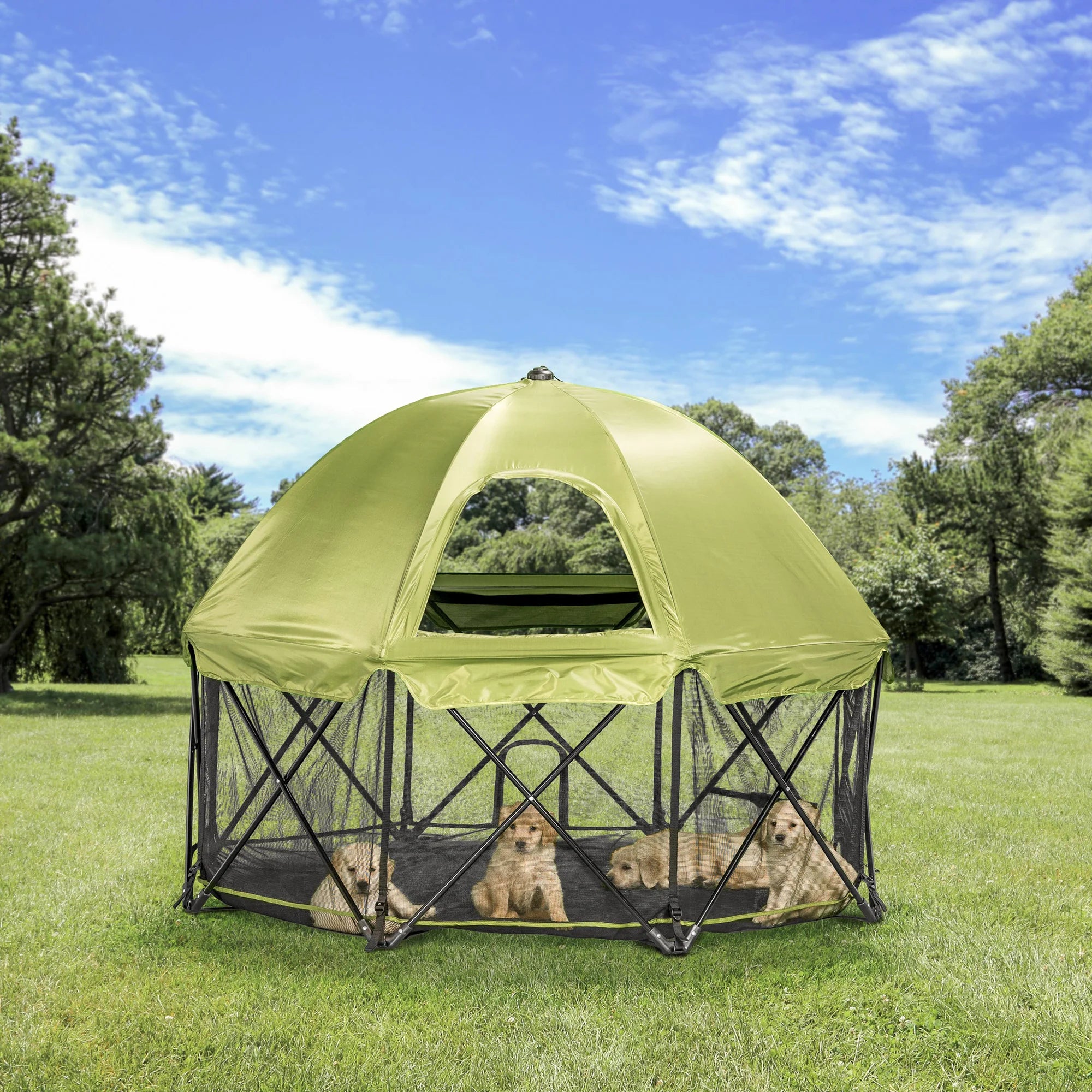 Four puppies resting in the Portable Pet Pen with Canopy at the park,