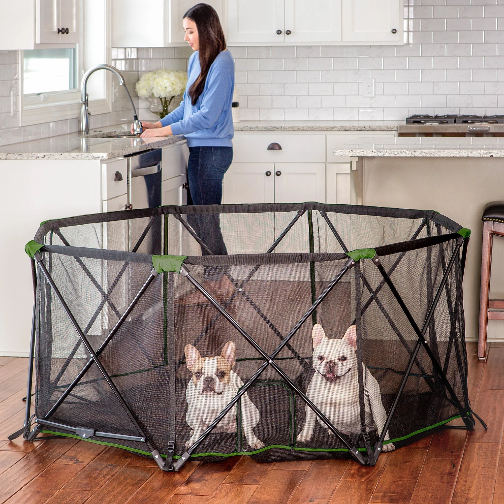 Two dogs in Portable Pet Pen while in the kitchen with a woman behind them doing dishes.