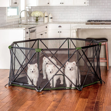 Four dogs in the Portable Pet Pen while in the kitchen.