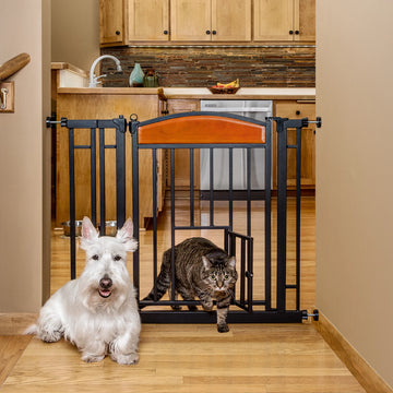 Cat walking through Small Pet Door in kitchen with dog standing in front of 37.5 Design Paw Easy Close Walk-Thur Pet Gate.