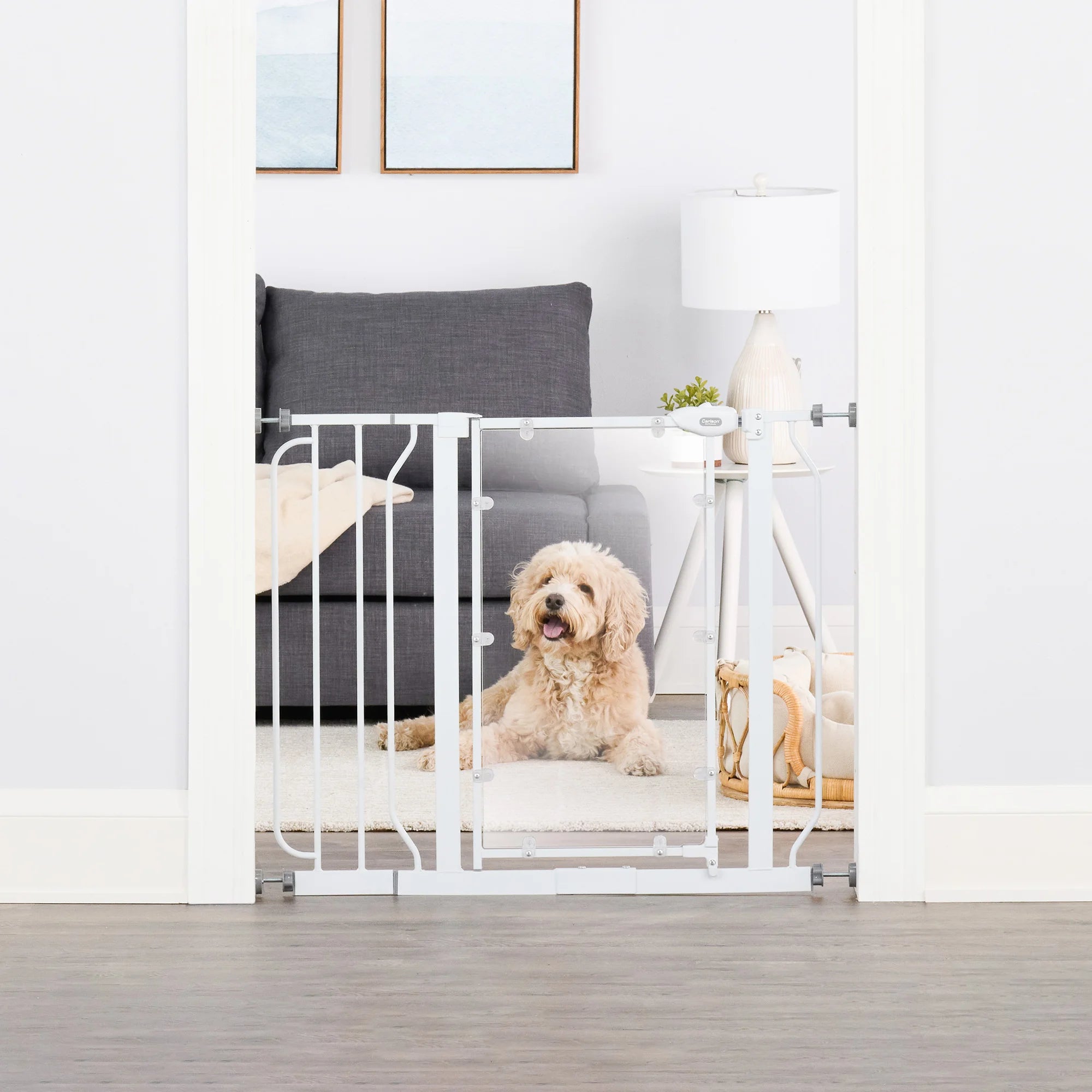 Dog sitting on ground in living room behind Direct View™ Pet Gate.