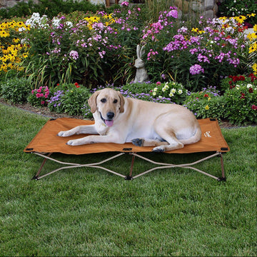 Portable and durable Carlson Large Tan Portable Pup Pet Bed with an all-steel frame and waterproof nylon fabric. Ideal for pets up to 95 pounds, it features easy setup, foldable design for storage, breathable mesh, and a comfortable elevated surface for indoor or outdoor use.