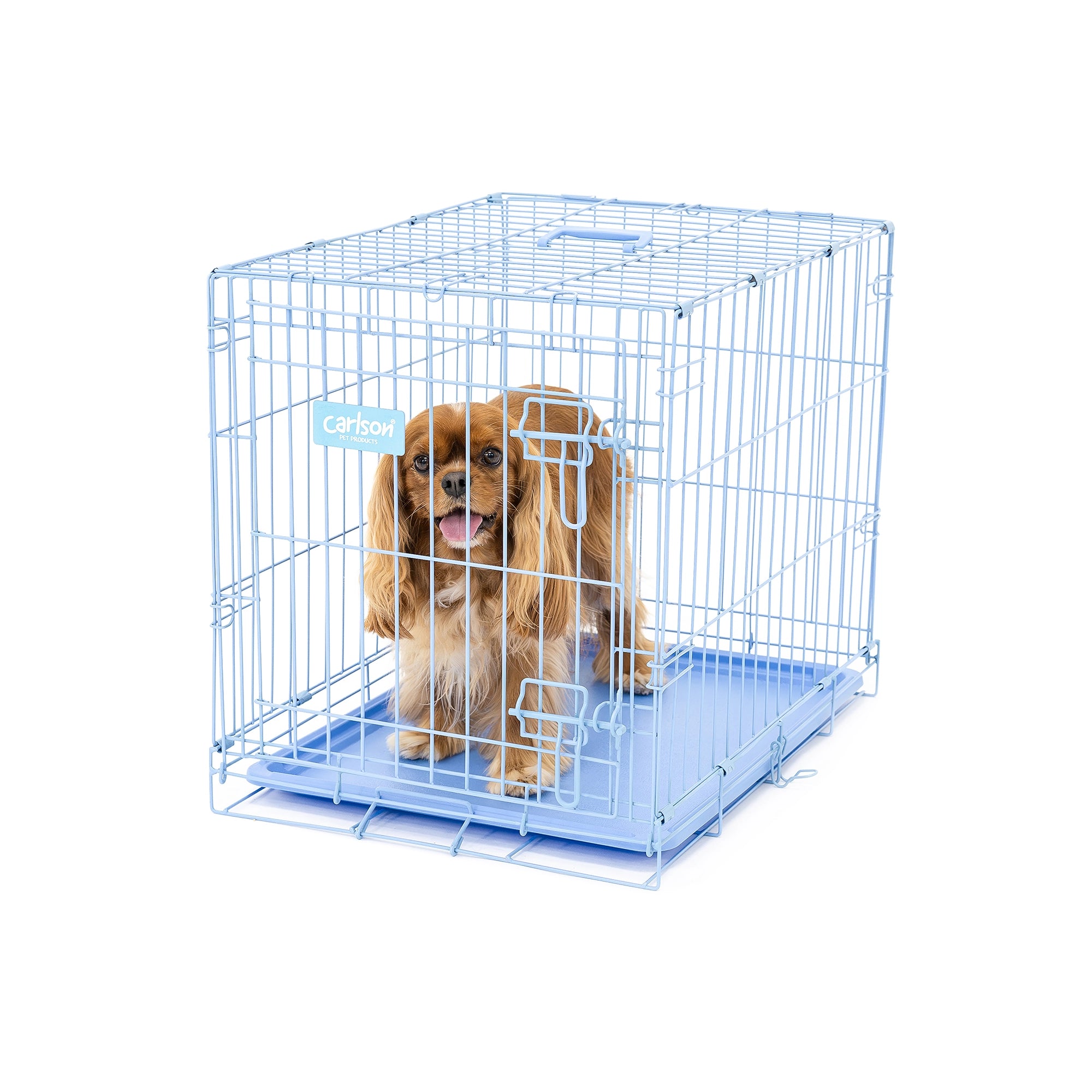 Small Single-Door Dog Crate