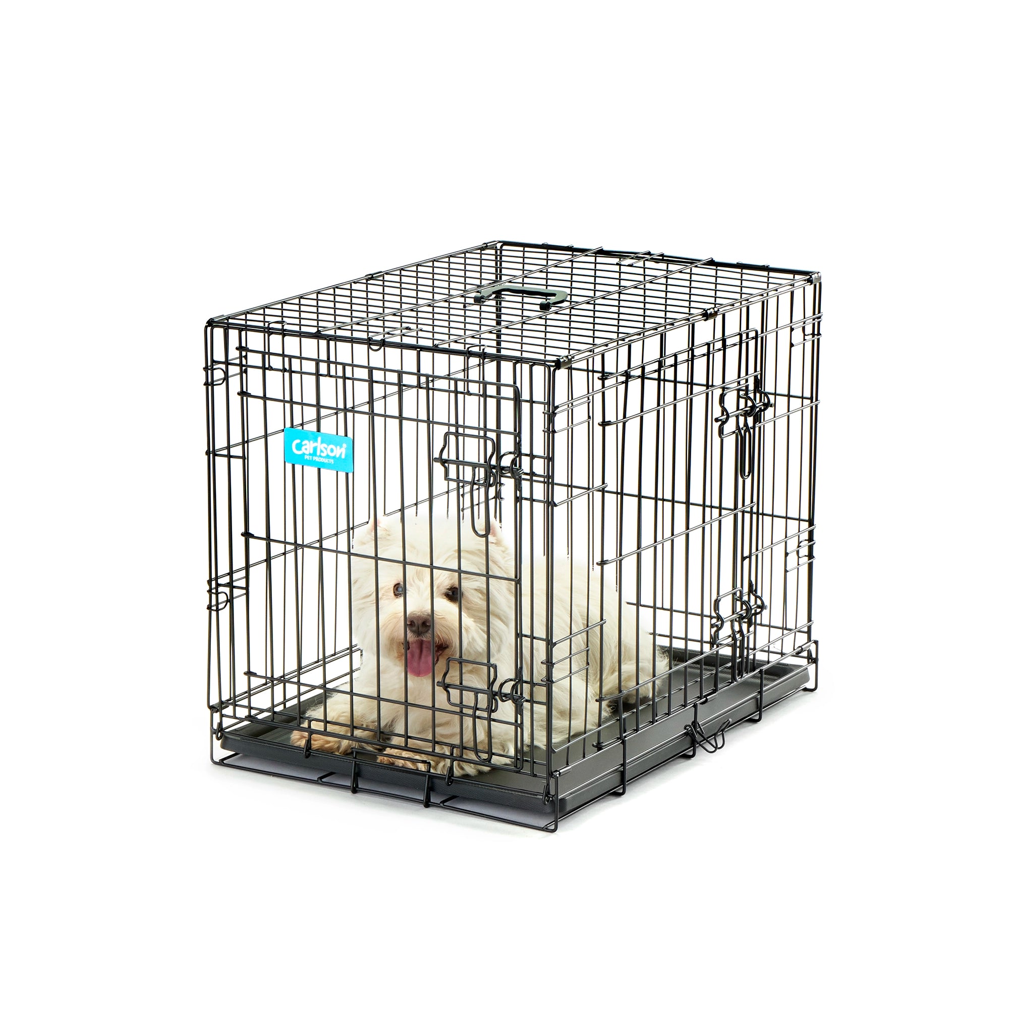 Carlson Double Door Dog Crate with White Dog on White Background