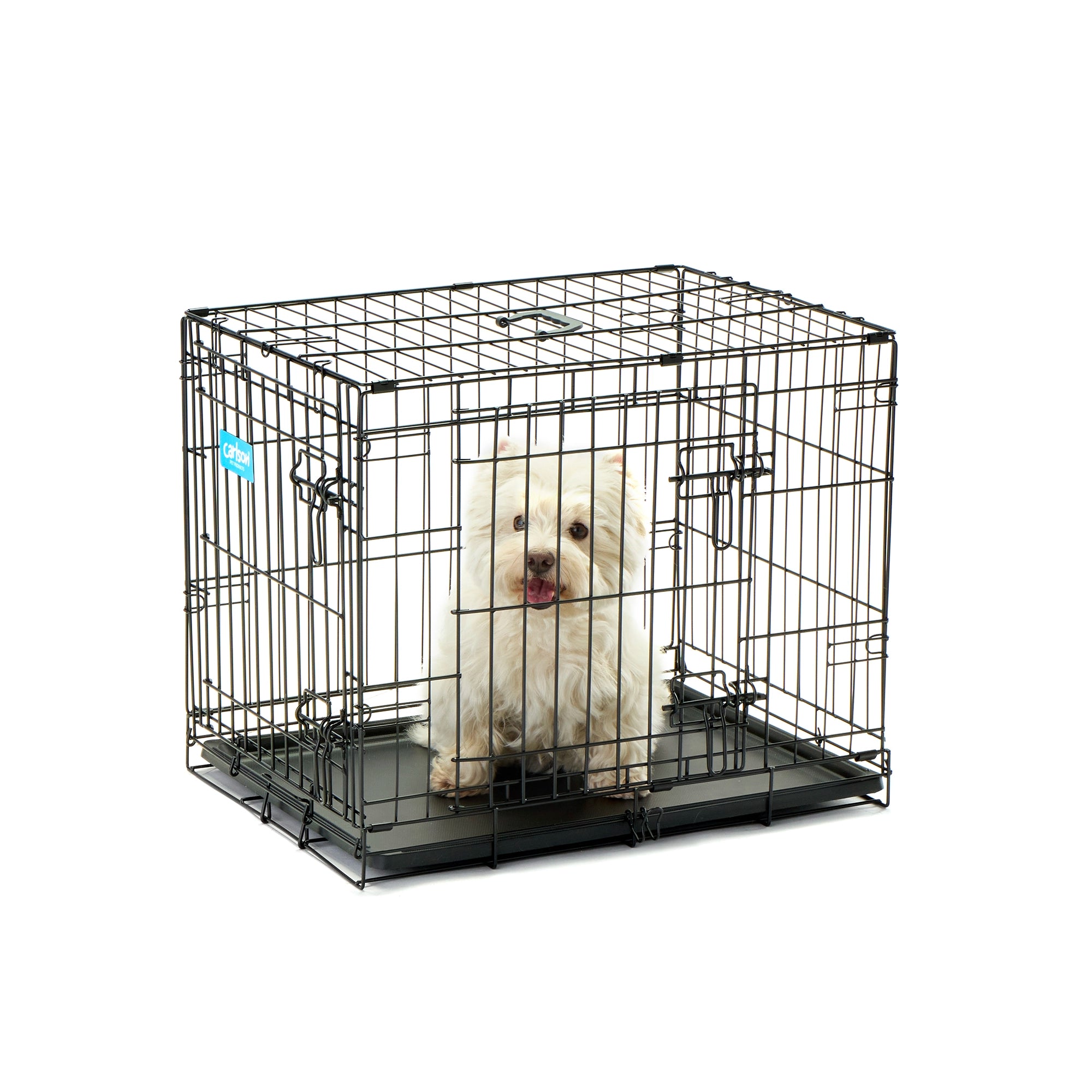 Carlson Double Door Dog Crate with White Dog on White Background