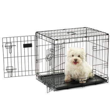 Carlson Double Door Dog Crate with White Dog on White Background