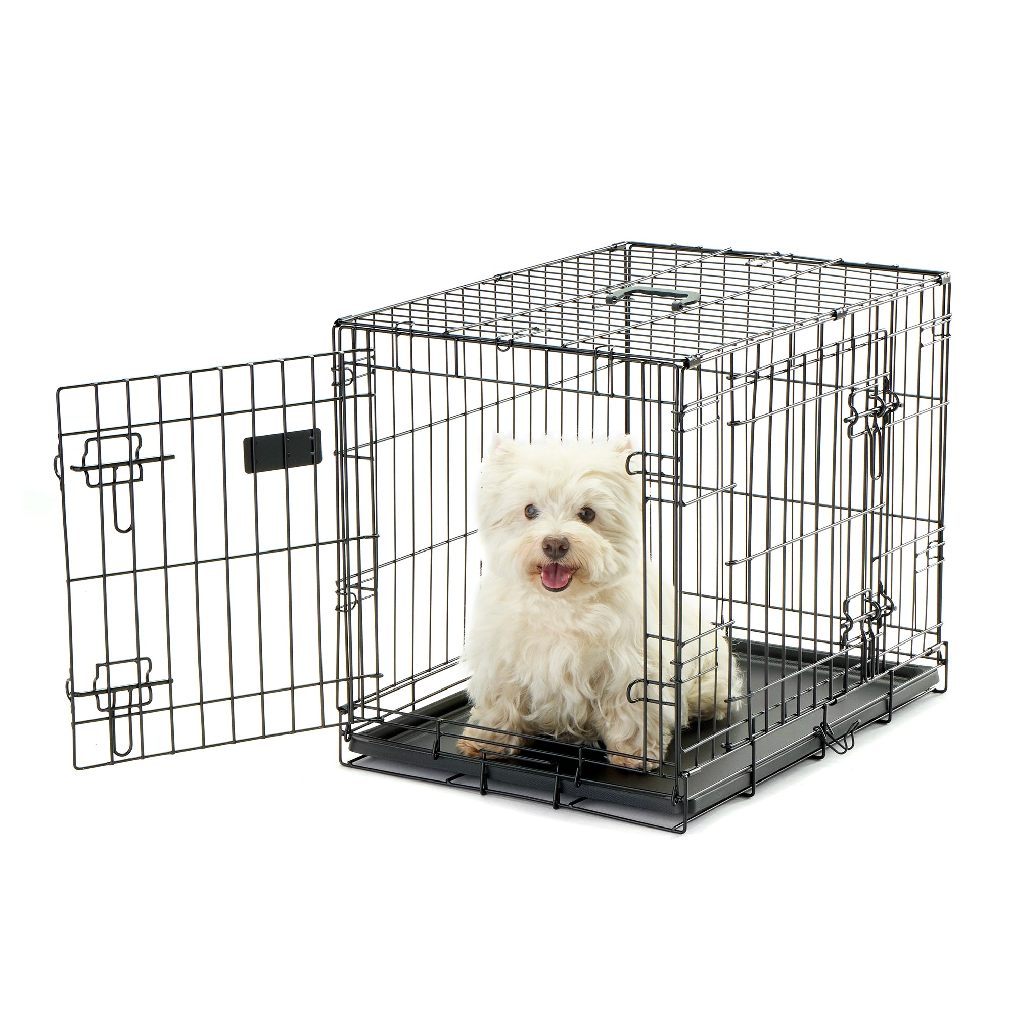 Carlson Double Door Dog Crate with White Dog on White Background