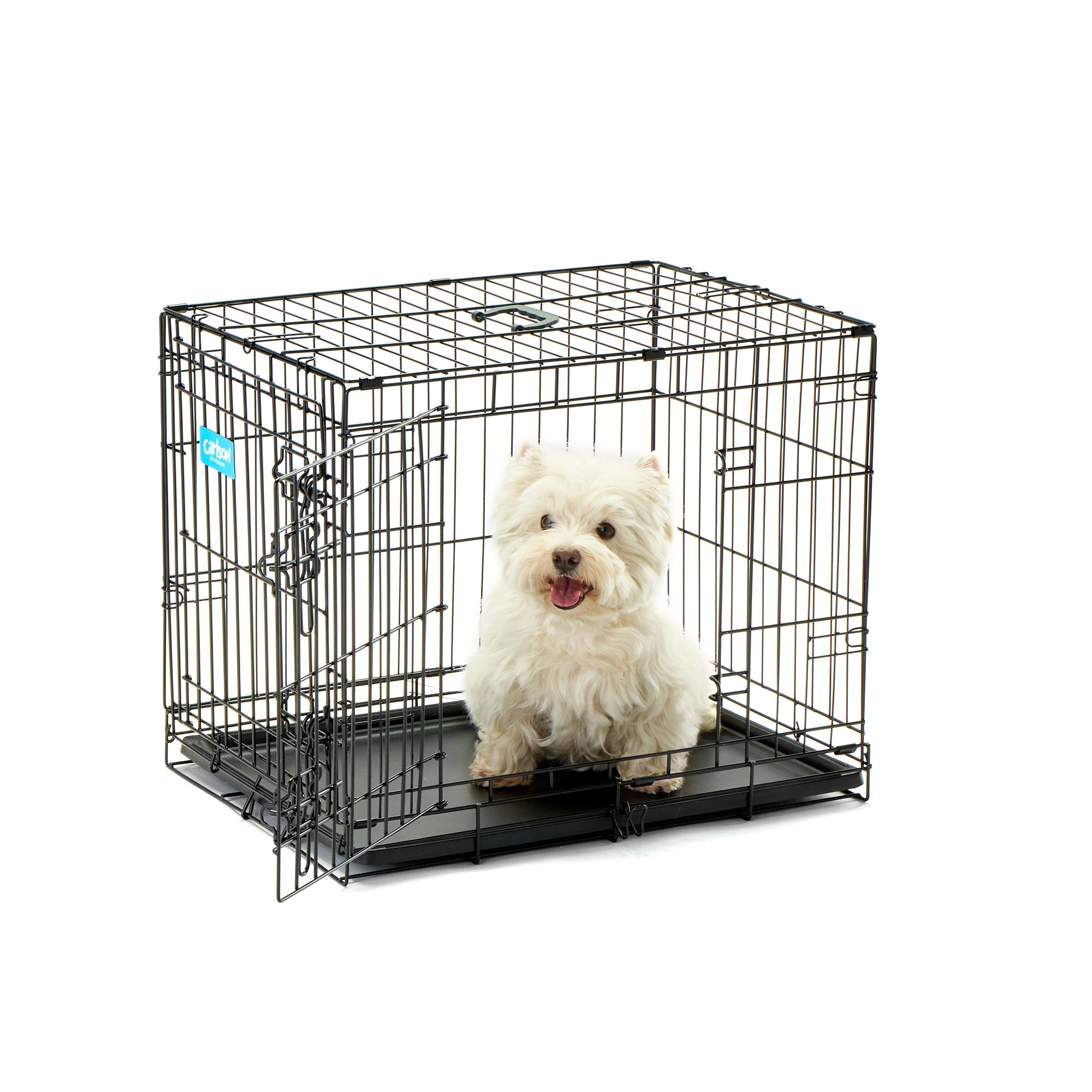 Carlson Double Door Dog Crate with White Dog on White Background