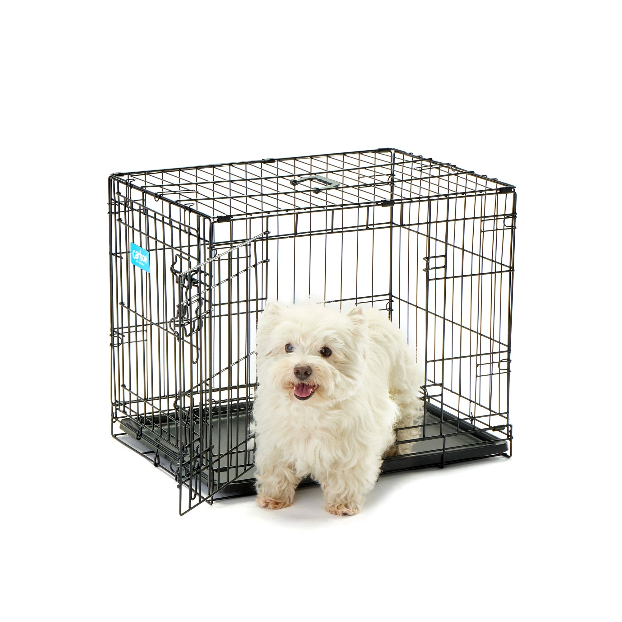 Carlson Double Door Dog Crate with White Dog on White Background