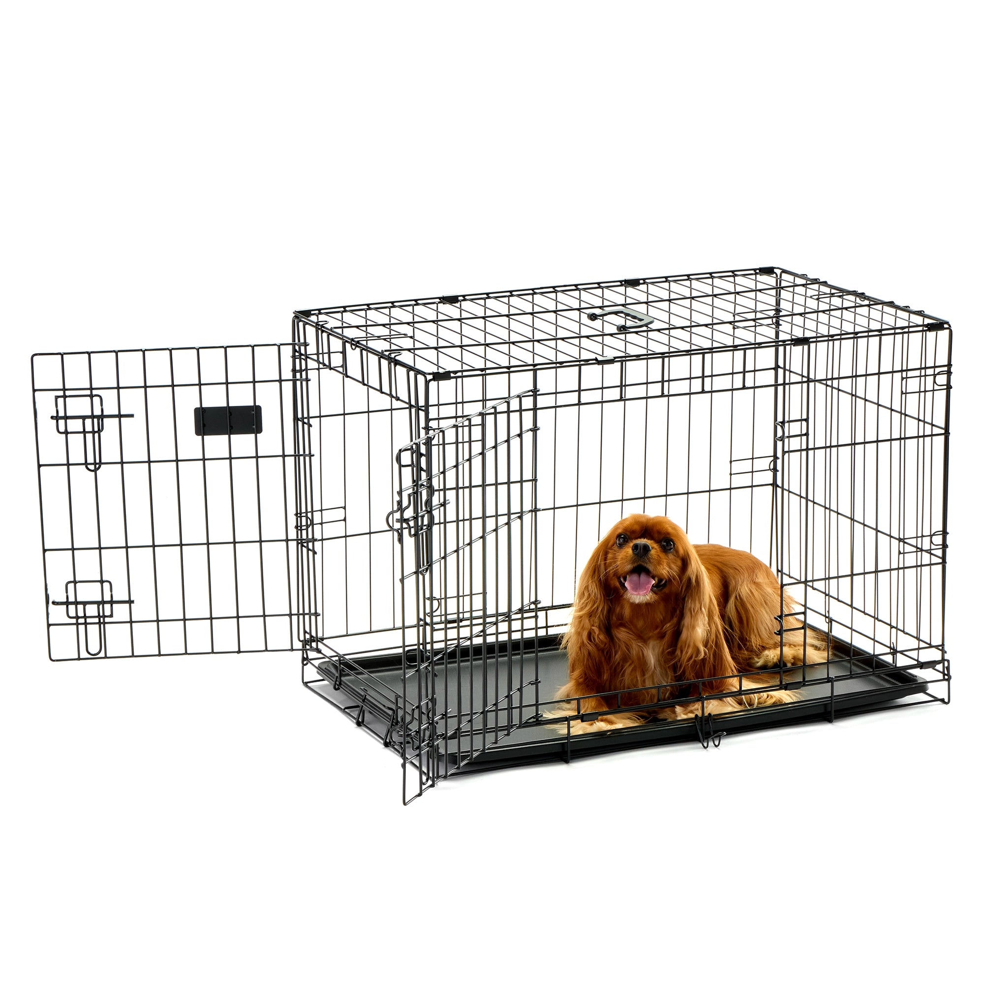 Carlson Double Door Dog Crate on White Background