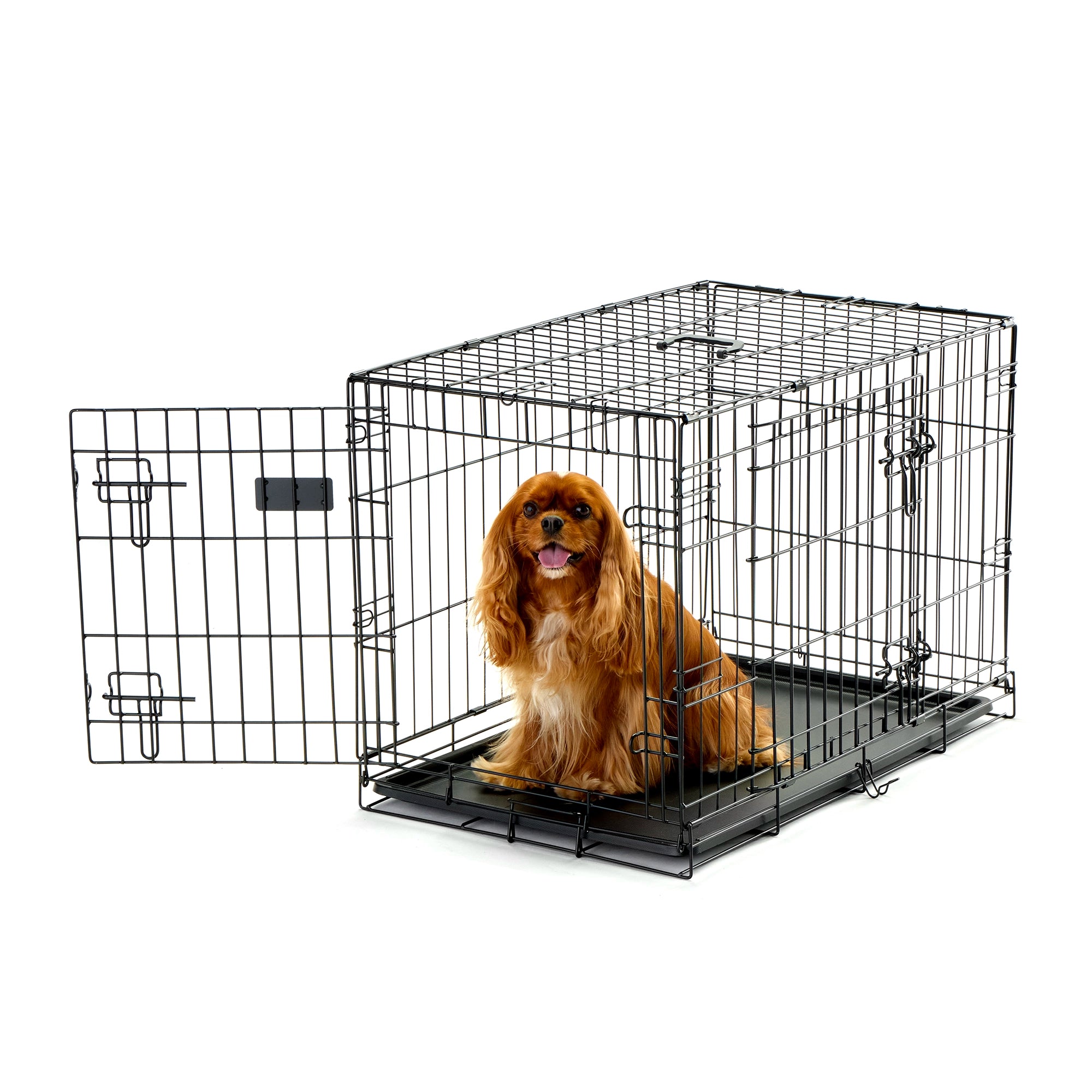 Carlson Double Door Dog Crate on White Background