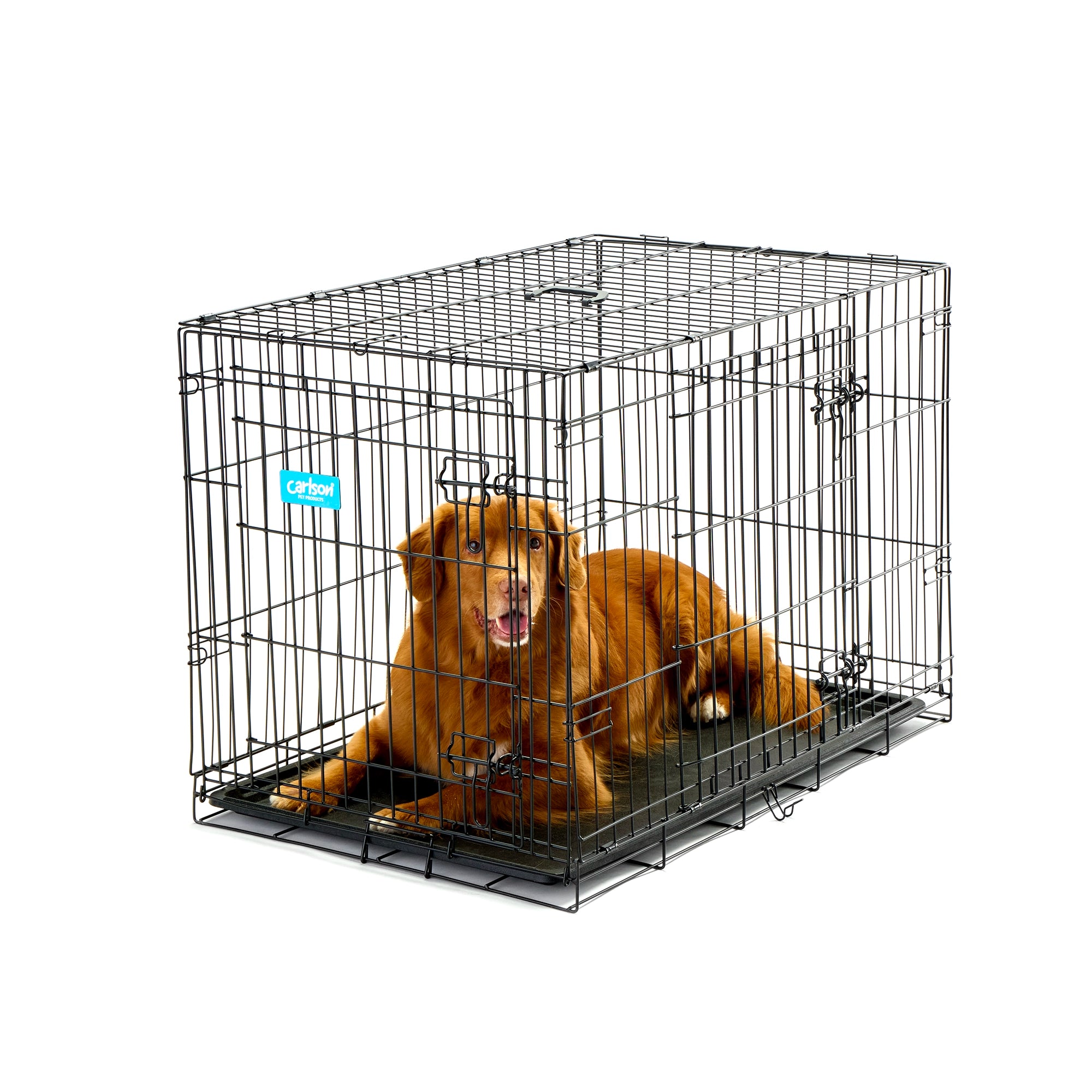 Intermediate Double-Door Dog Crate