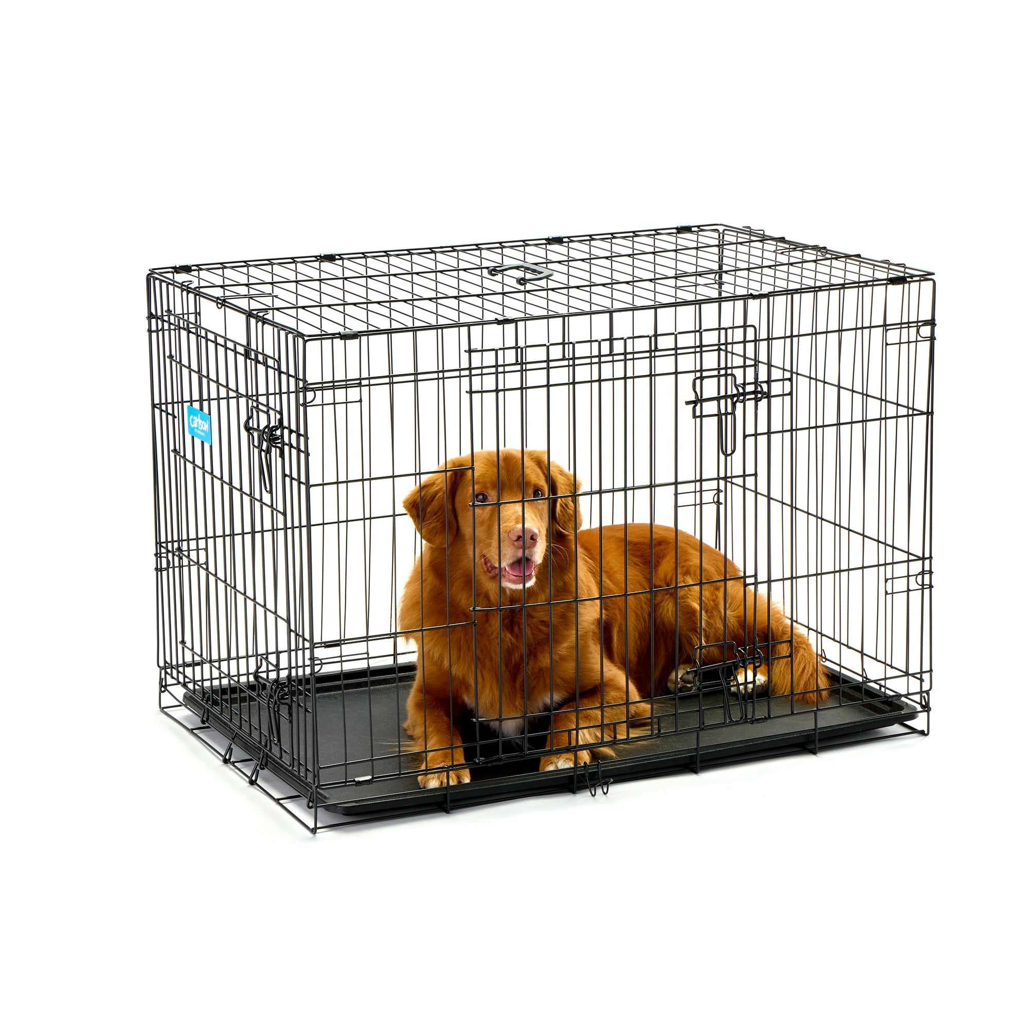 Intermediate Double-Door Dog Crate