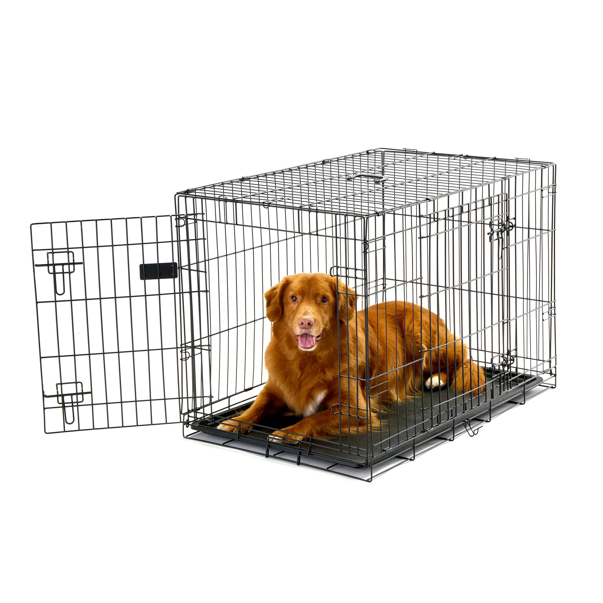 Intermediate Double-Door Dog Crate