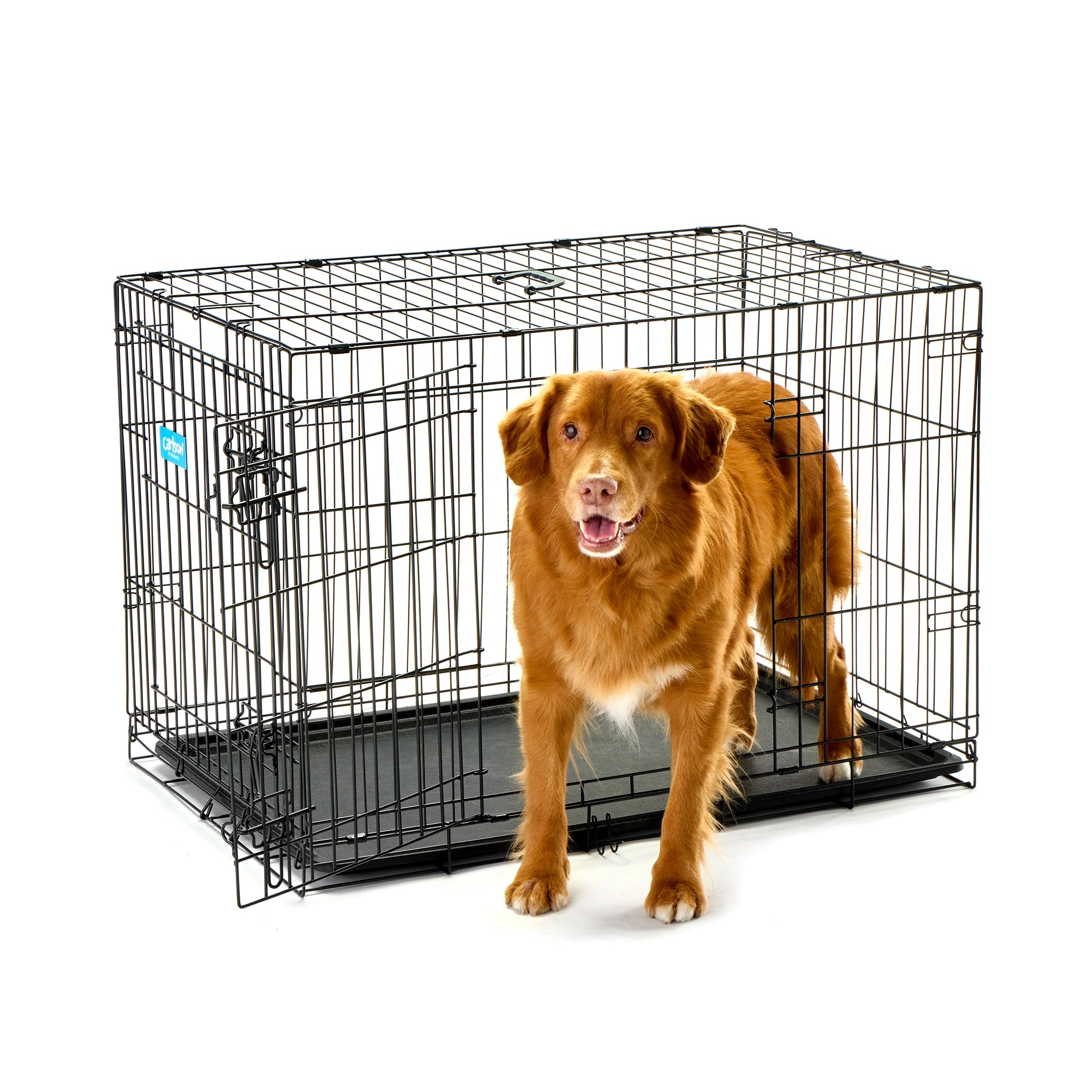 Intermediate Double-Door Dog Crate