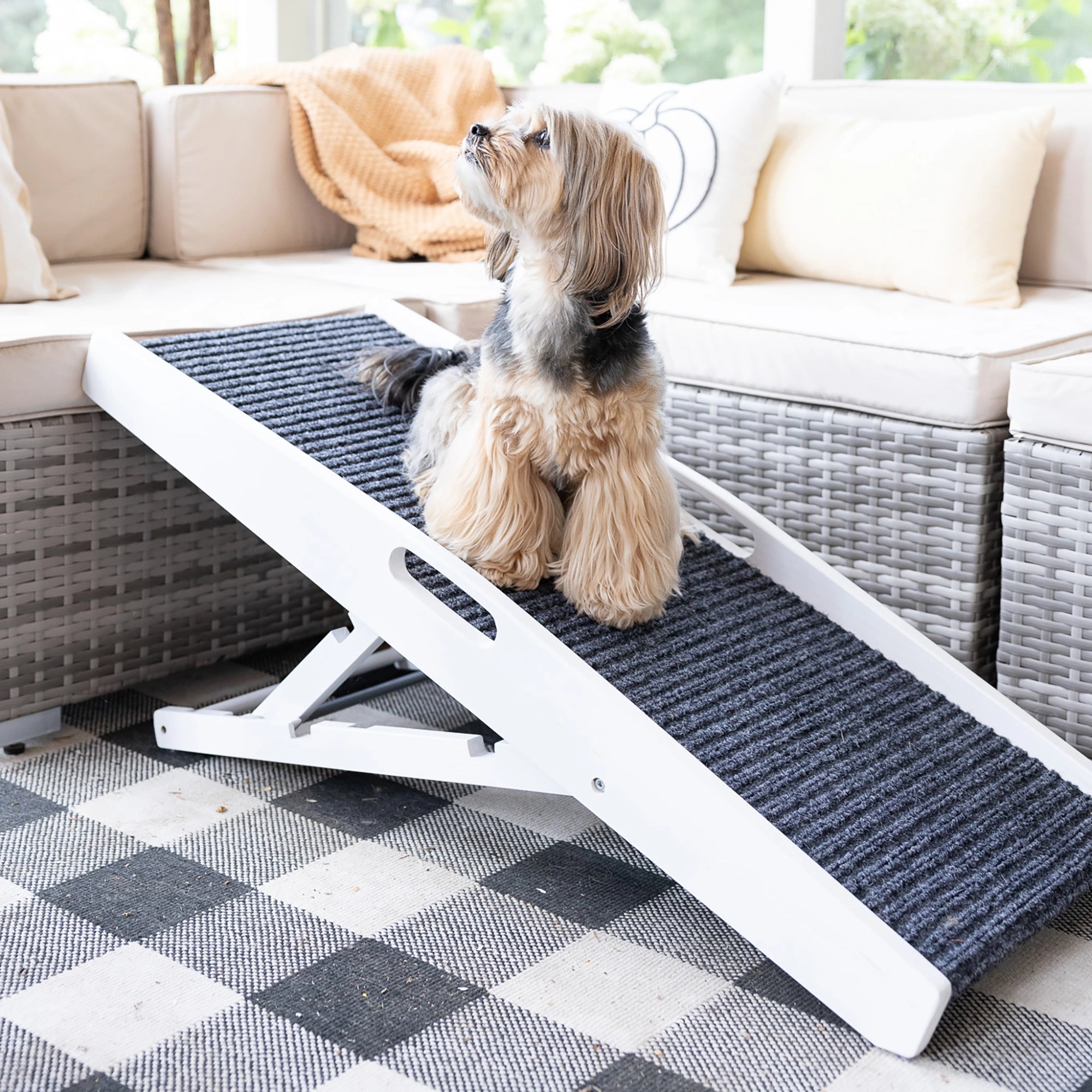 Indoor Pet Ramp