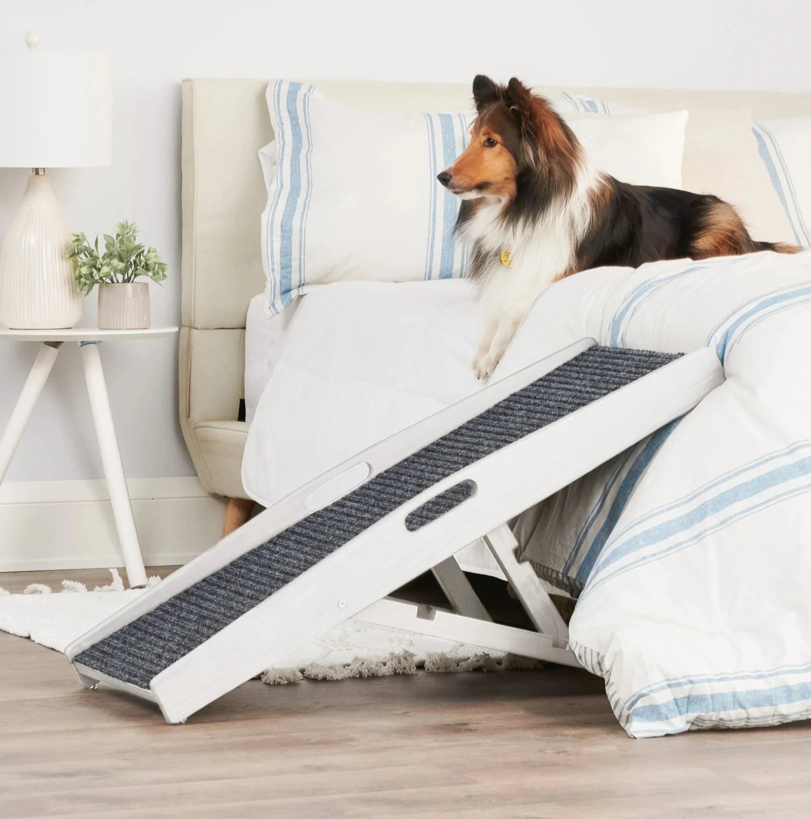 Dog laying on a bed in a bedroom next to the Carlson Indoor Pet Ramp.