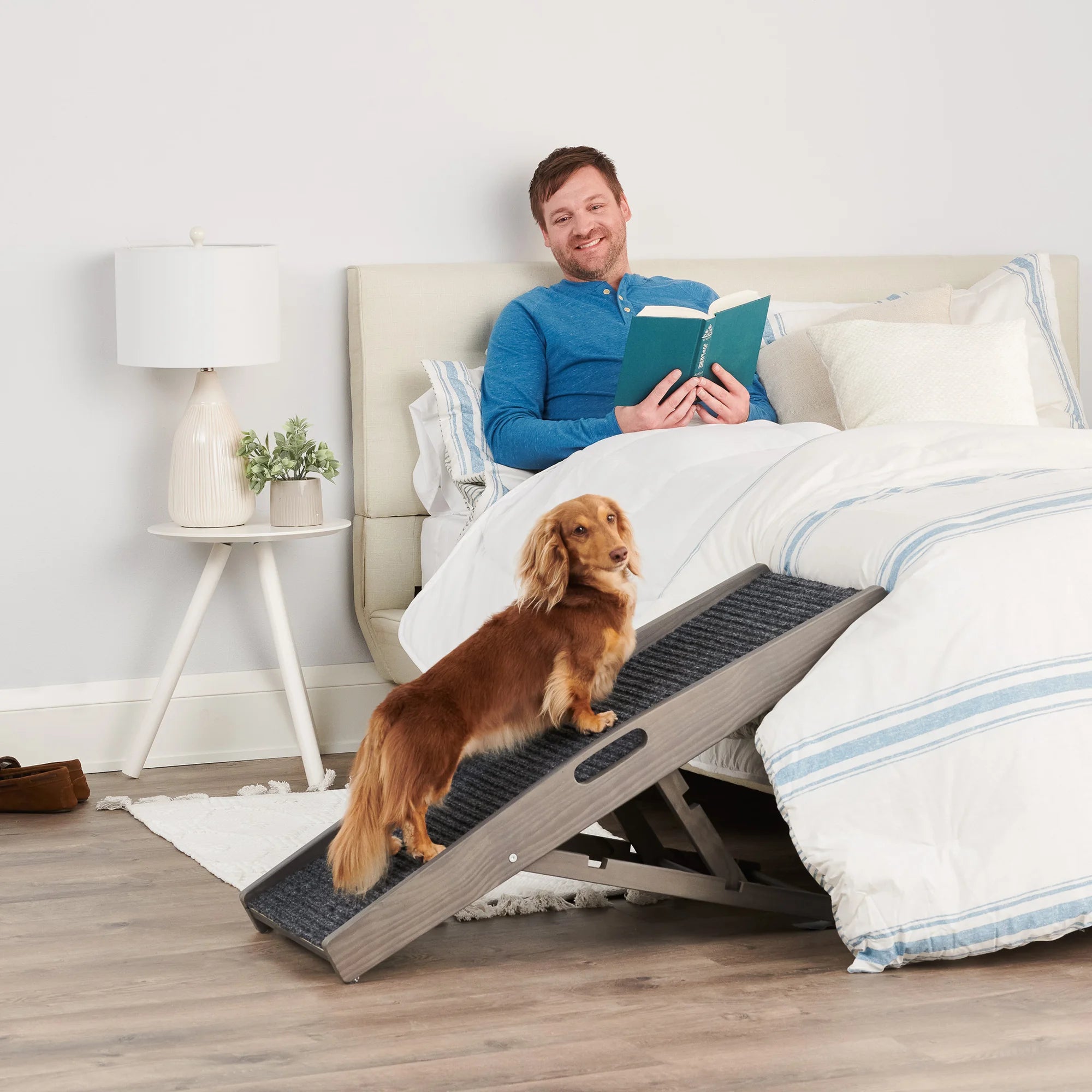 Small dog standing on Gray Indoor Pet Ramp next to bed while owner reads a book.