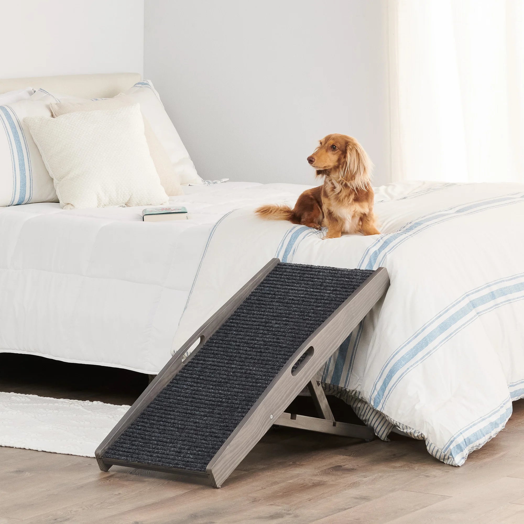 Small dog sitting on bed next to Gray Indoor Pet Ramp.
