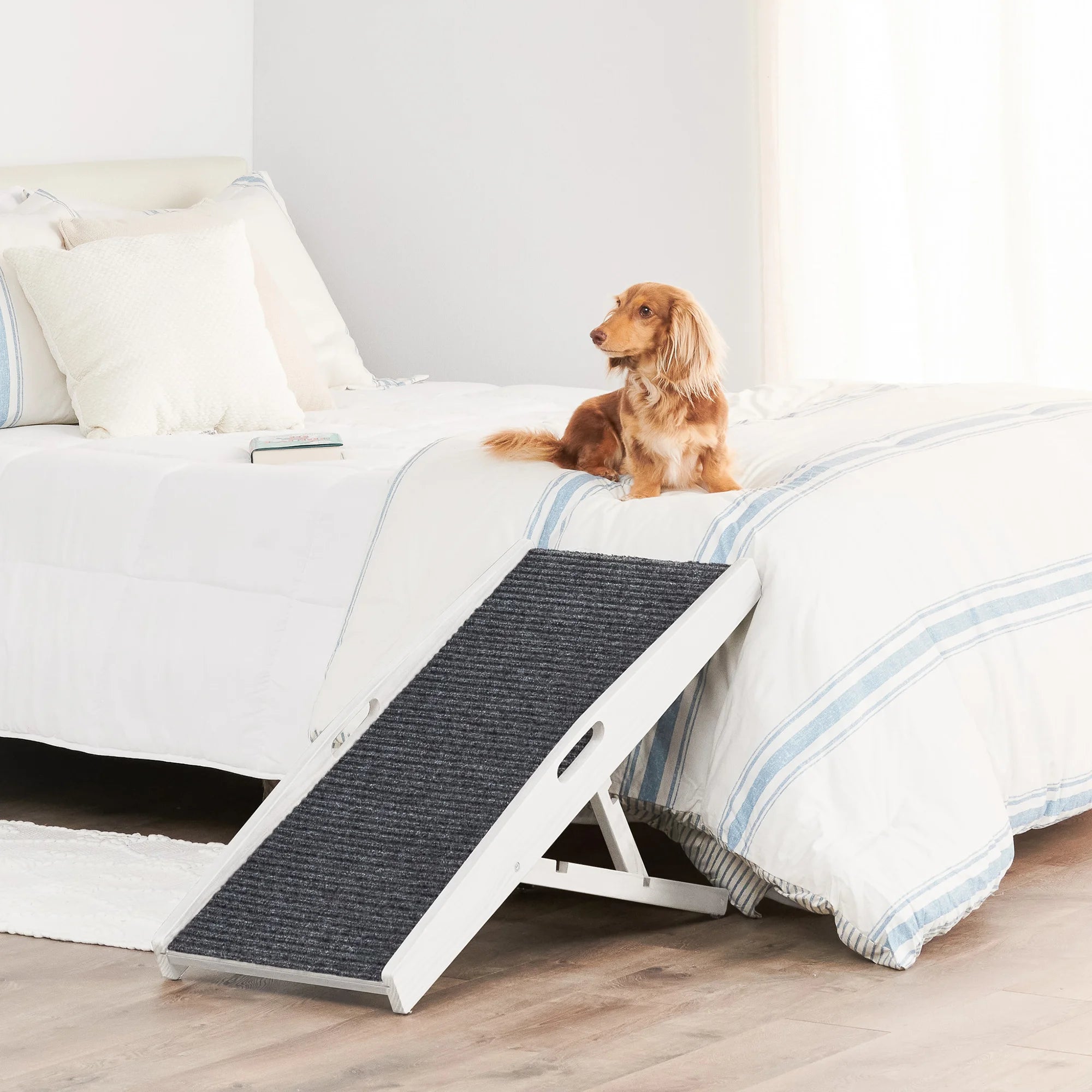 Brown dog sitting on a bed right by a Carlson Indoor Pet Ramp.