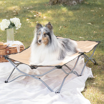 Portable and durable Carlson Large Tan Portable Pup Pet Bed with an all-steel frame and waterproof nylon fabric. Ideal for pets up to 95 pounds, it features easy setup, foldable design for storage, breathable mesh, and a comfortable elevated surface for indoor or outdoor use.