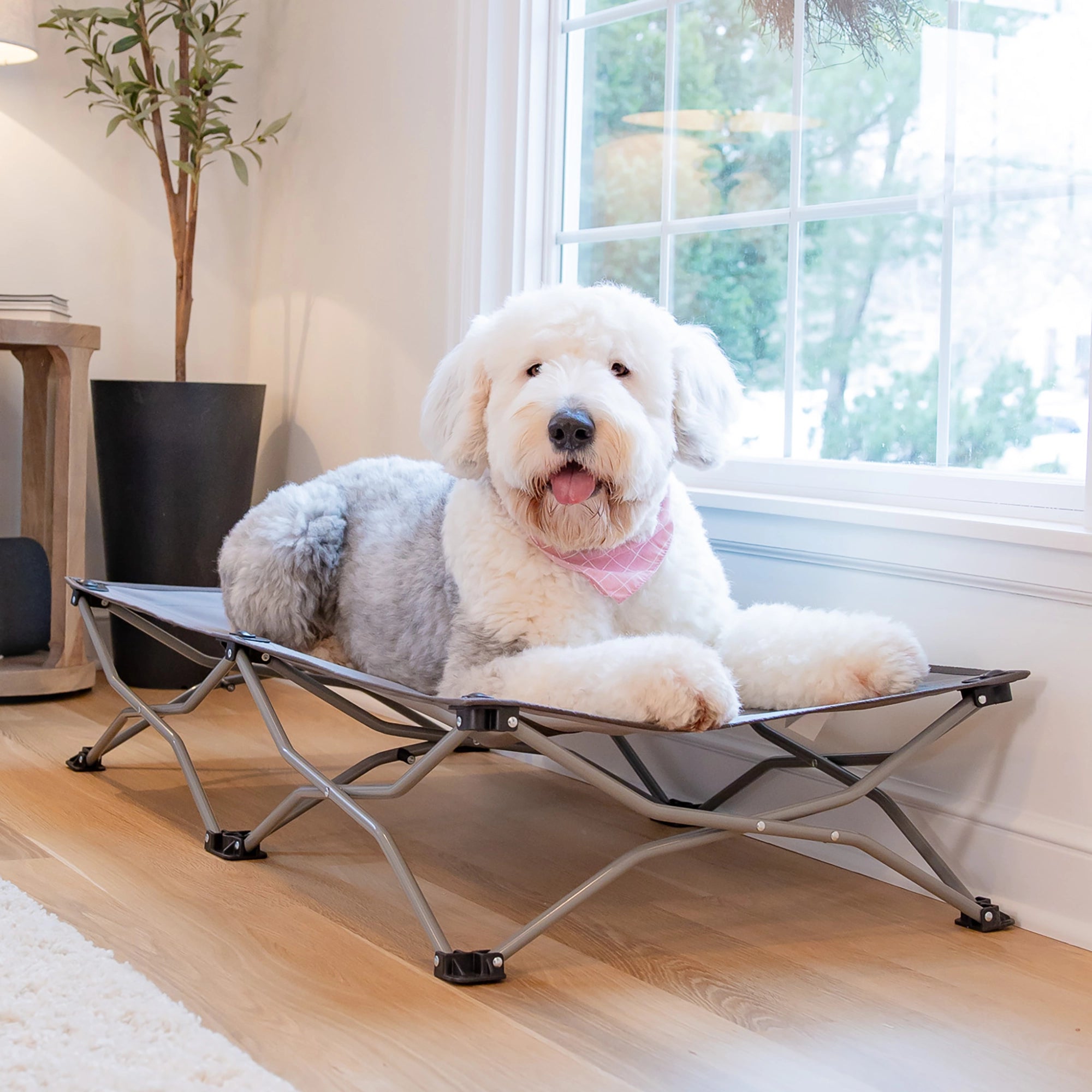 Large Portable Pup Pet Bed