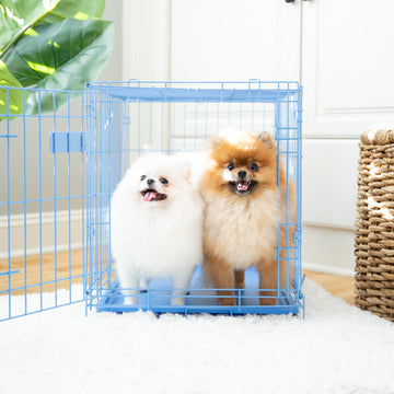 Small Single-Door Dog Crate