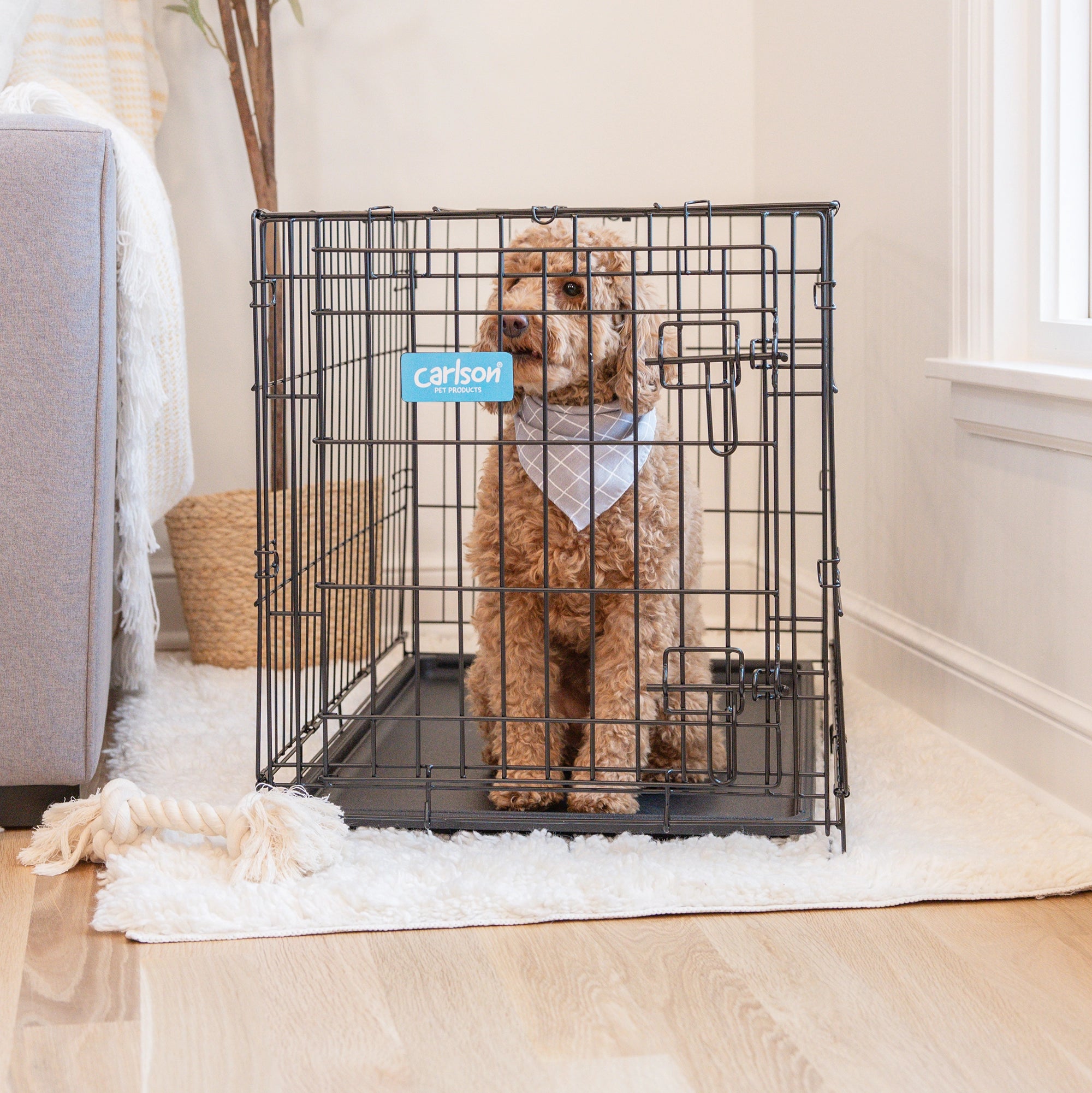 Medium Single-Door Dog Crate